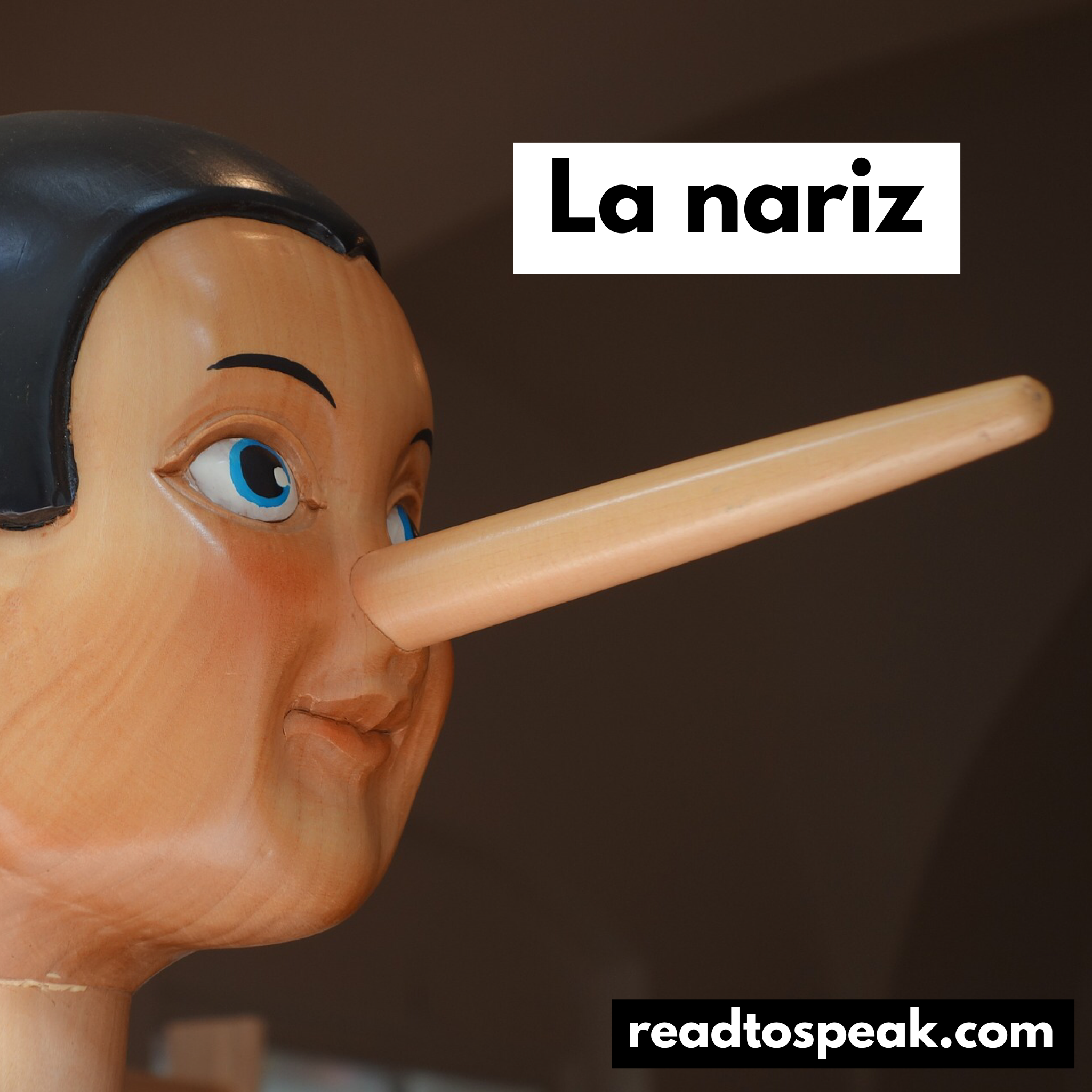 Read to Speak Spanish - la nariz.PNG