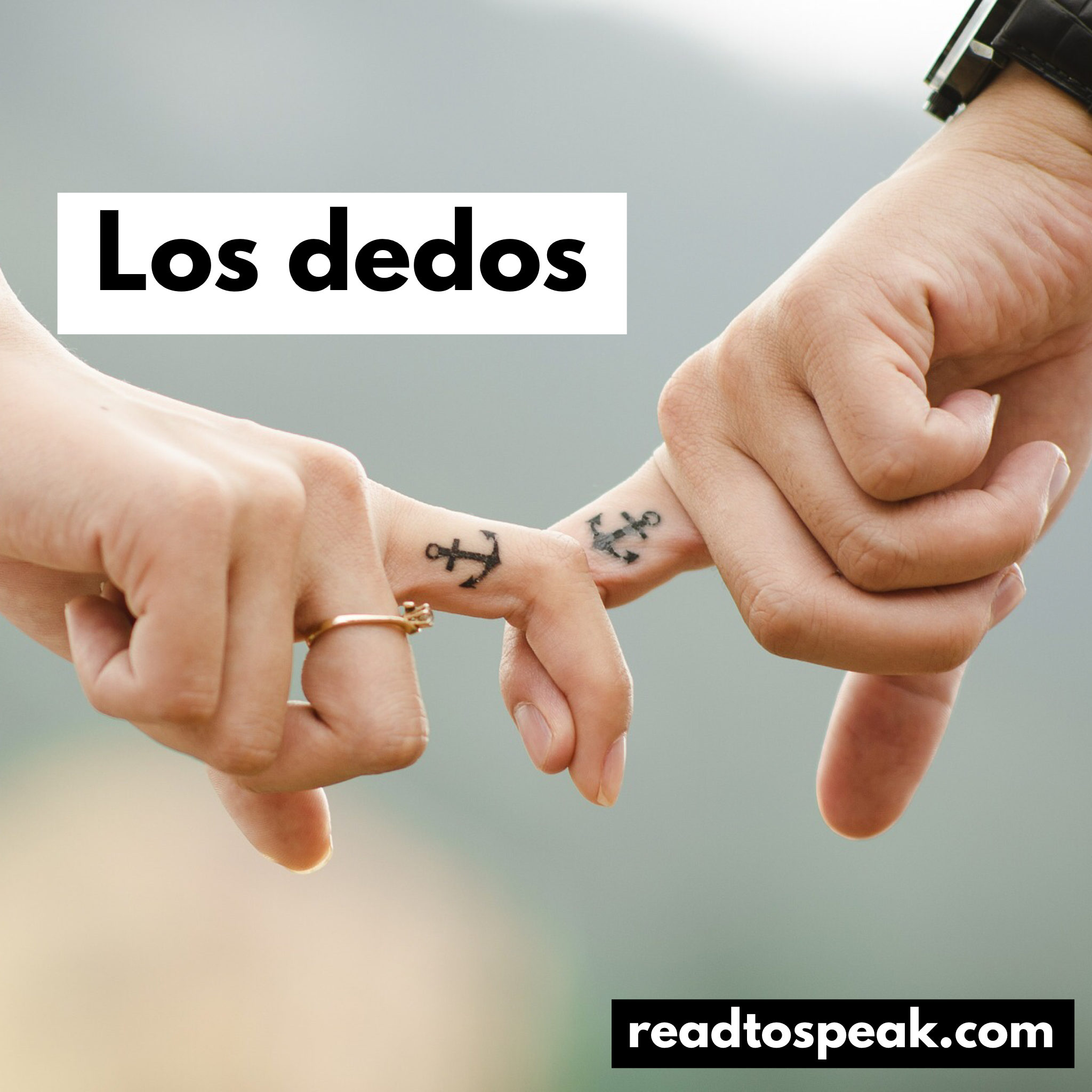Read to Speak Spanish - los dedos.PNG