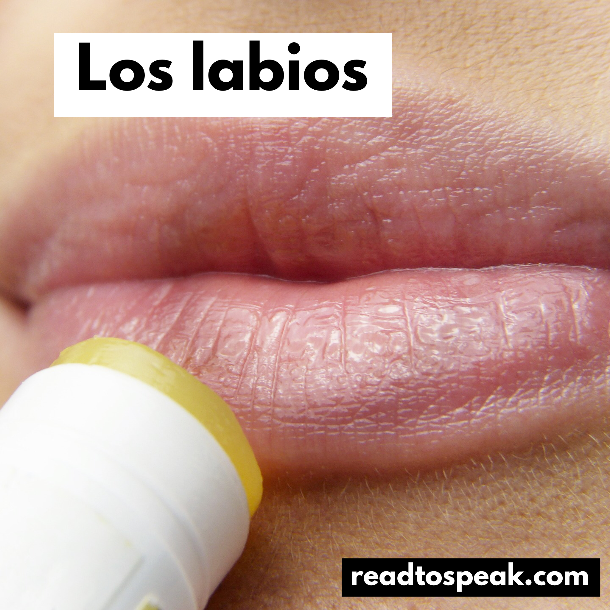 Read to Speak Spanish - los labios.PNG