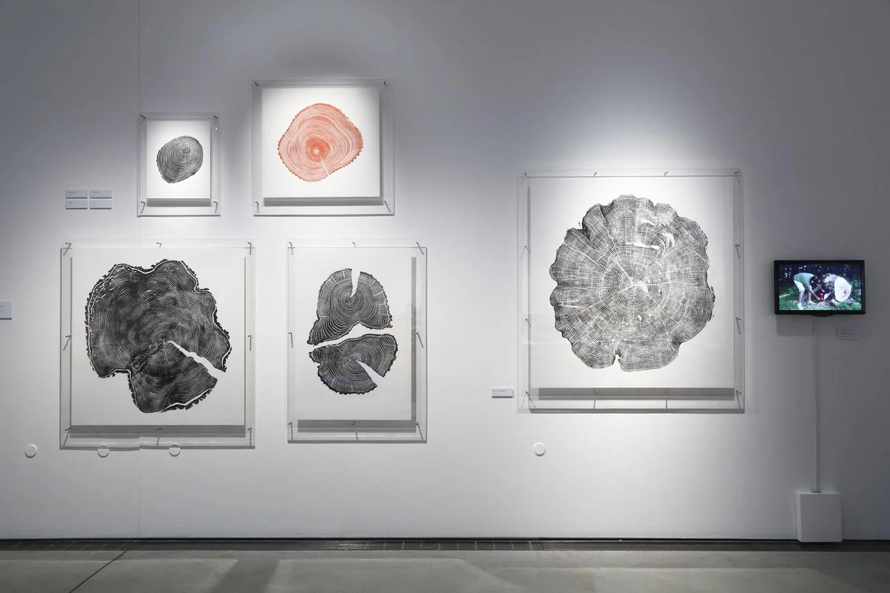 2015 21_21 Design Sight — Bryan Nash Gill