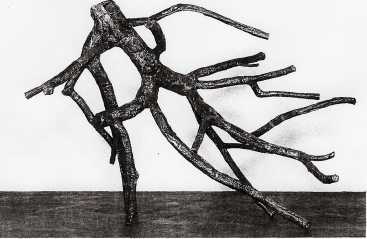 Bryan Nash Gill, Malus, 2005. Copper, lead, and apple tree, 57.5 x 77 x 68 in.
