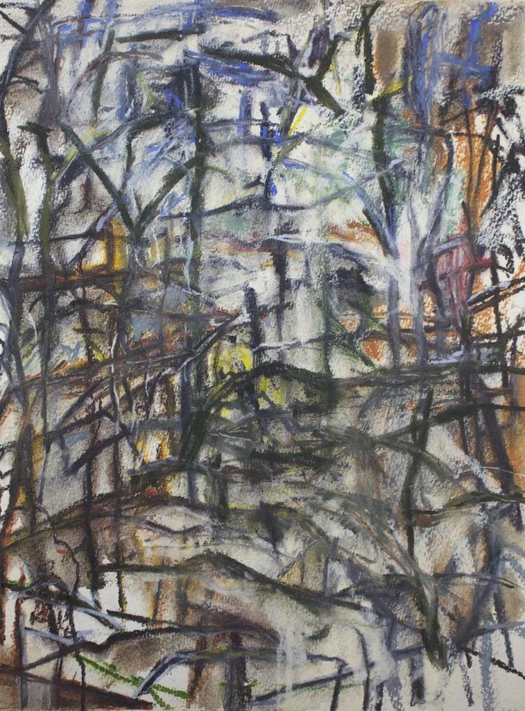 Limb