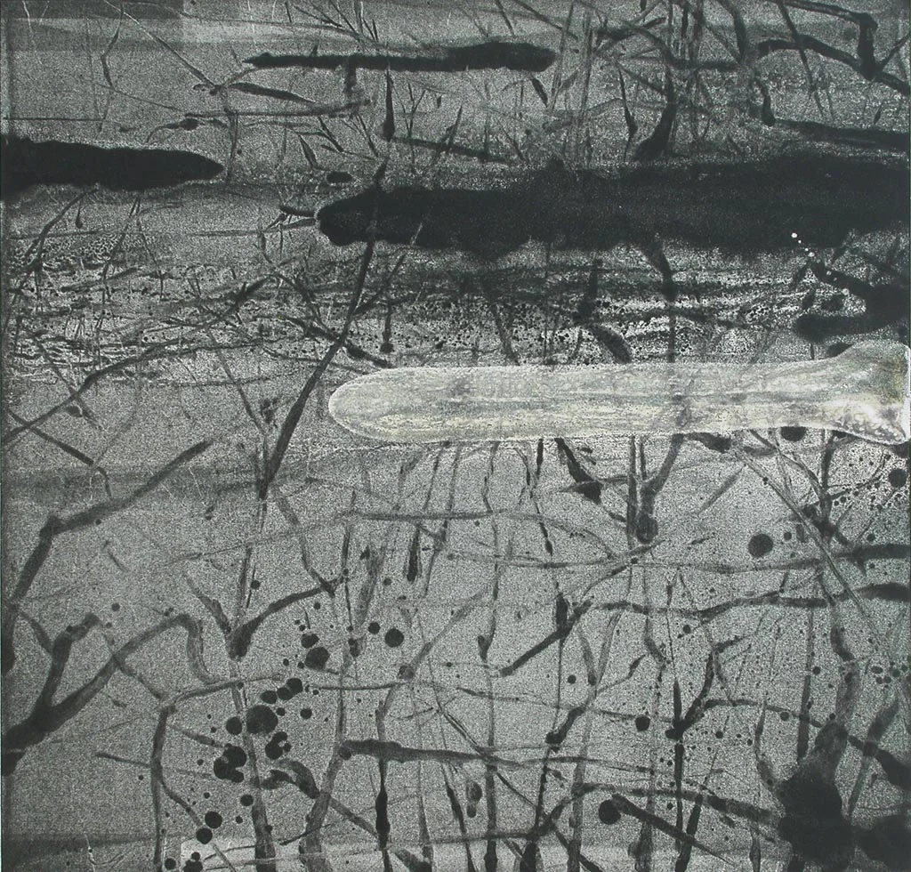 Black & White Marsh