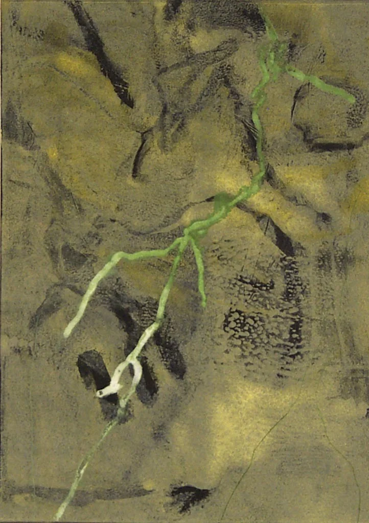 Pine Branch