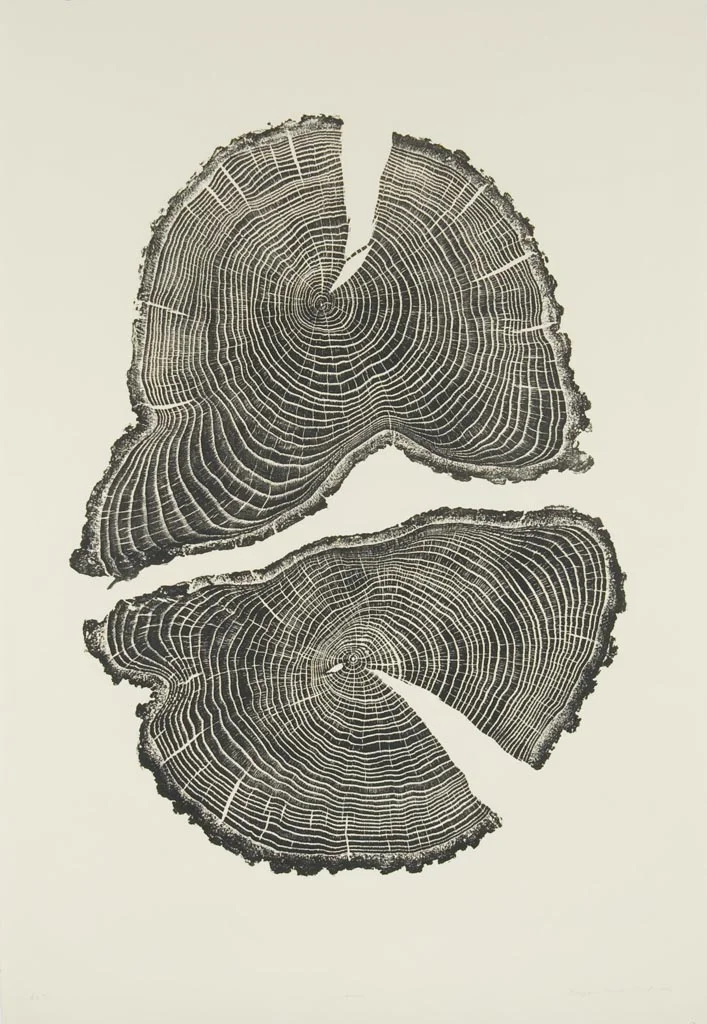 Acorn