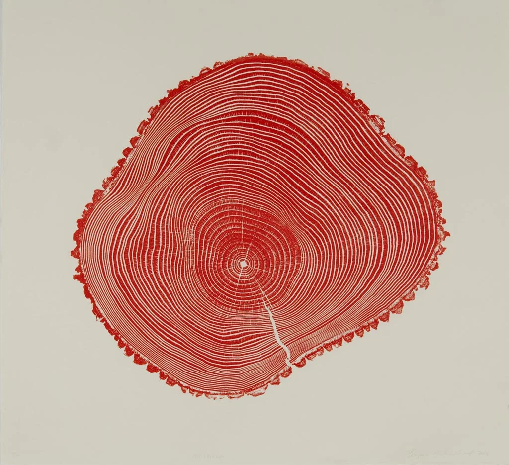 Red Fraxinus