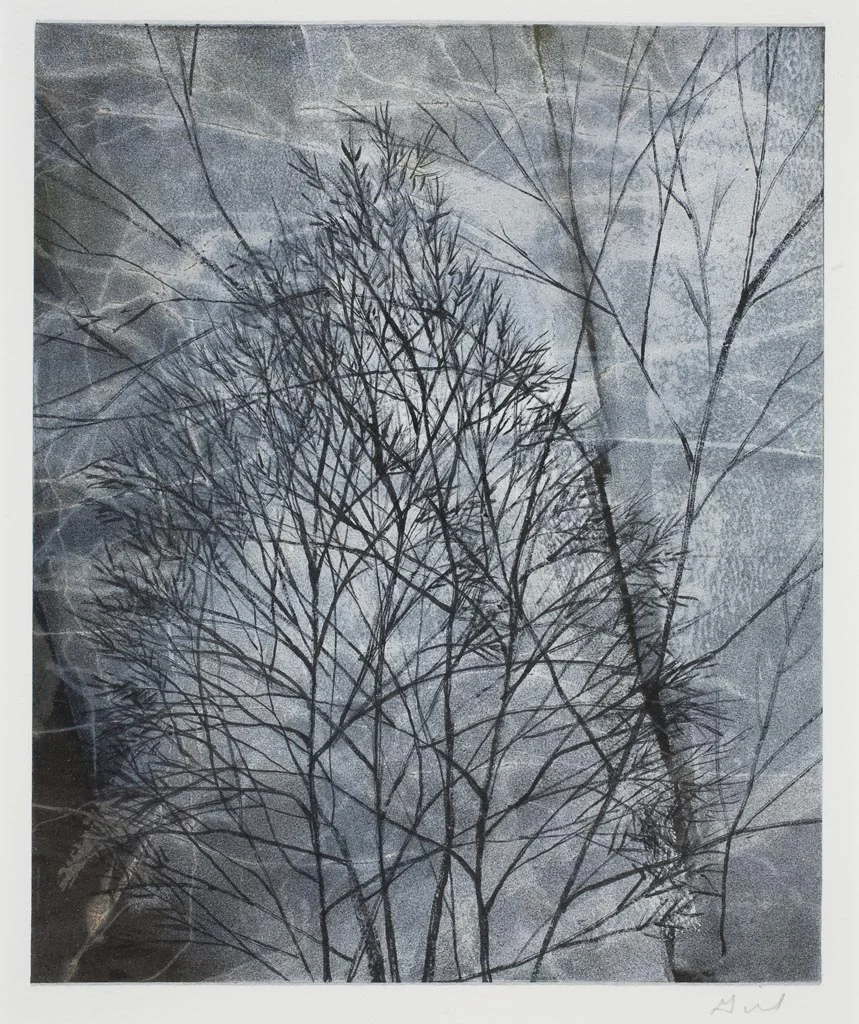 Winter Series #11