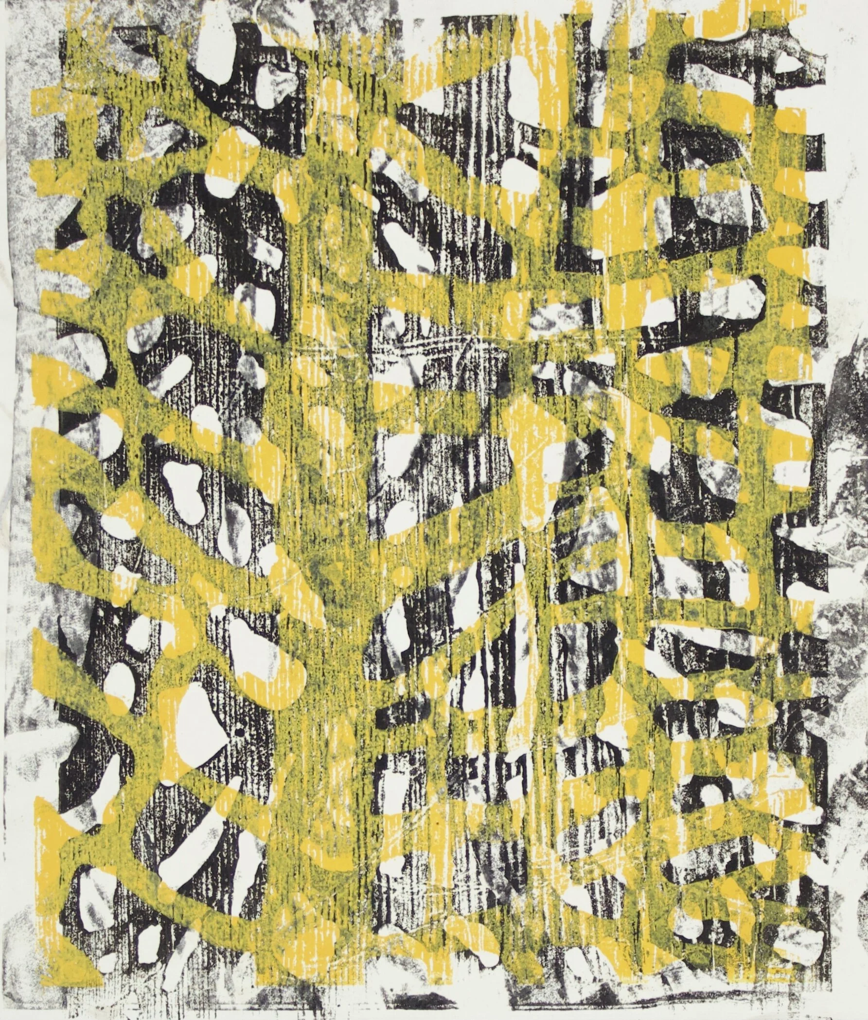 BNG-AUTO-2013-3233;main