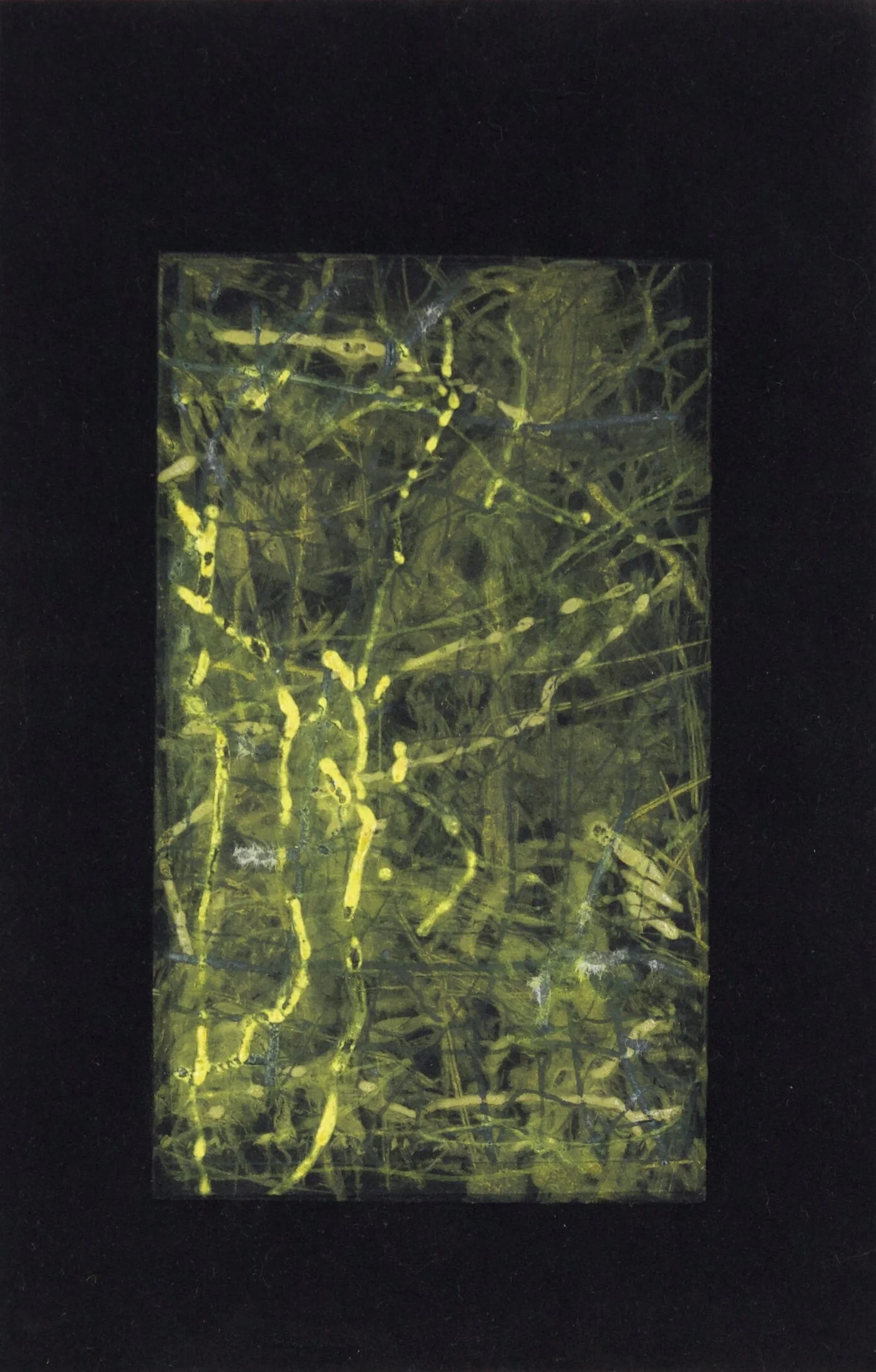 BNG-AUTO-2013-3218;main