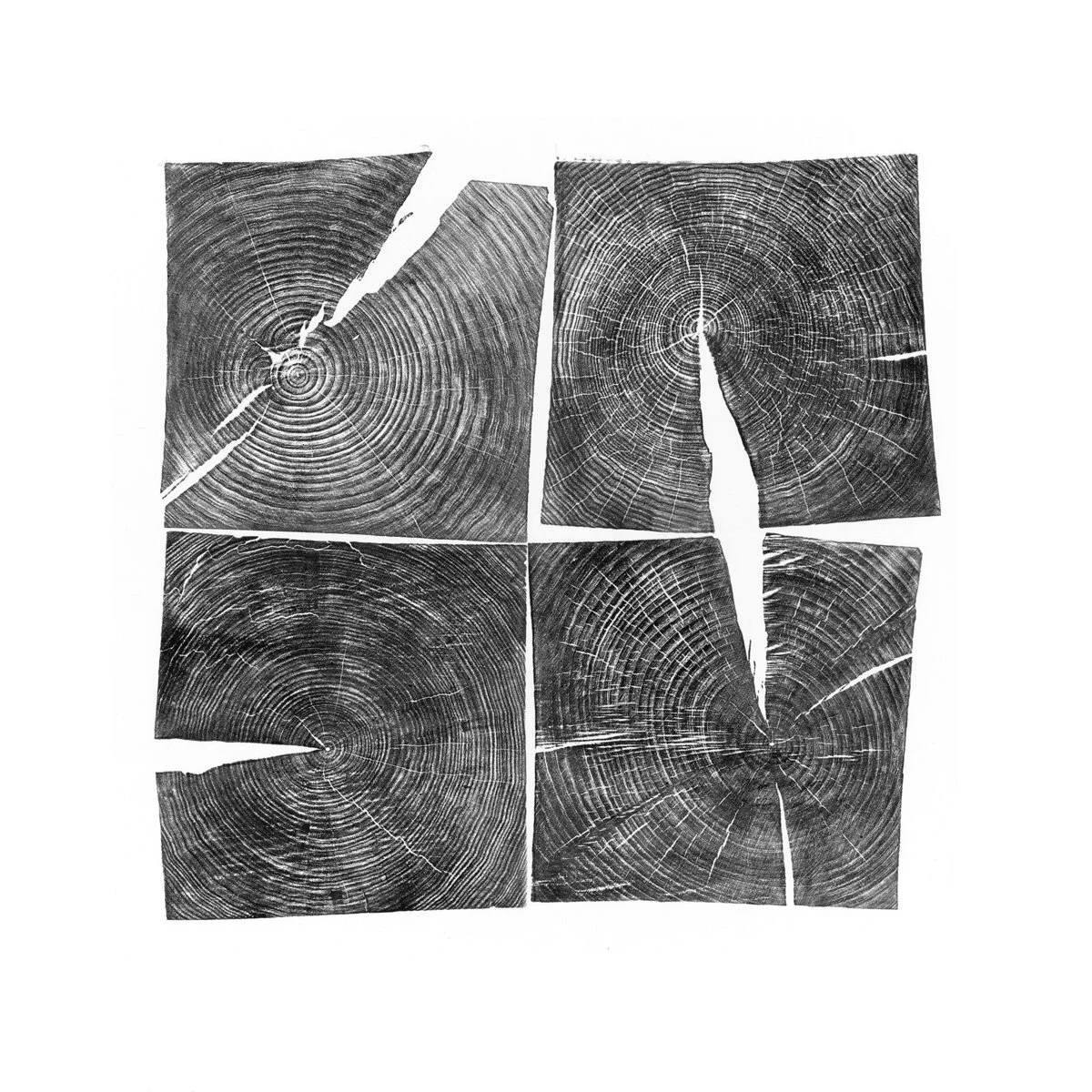 BNG_4Square_T.P.1_36x36_Prnt.jpg