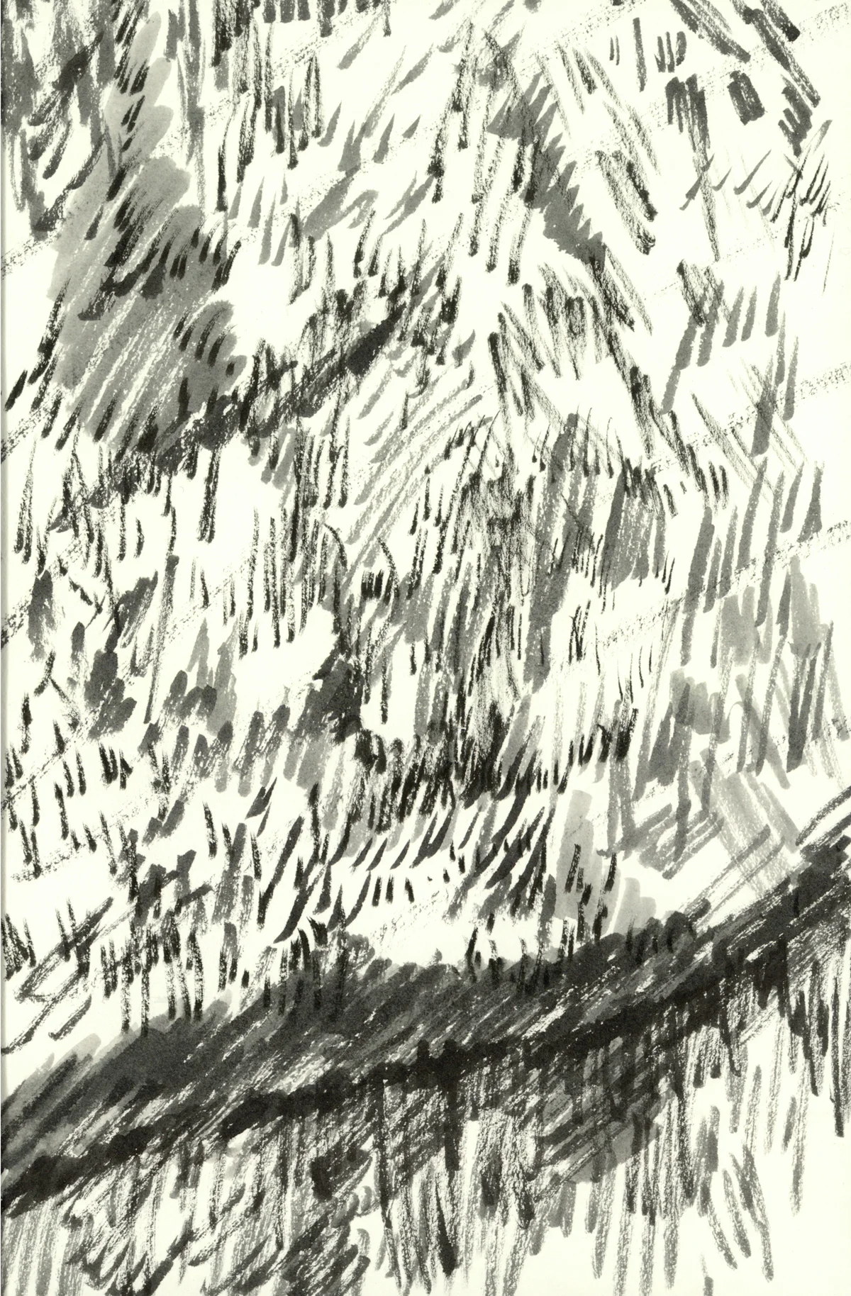 rock study (part of)