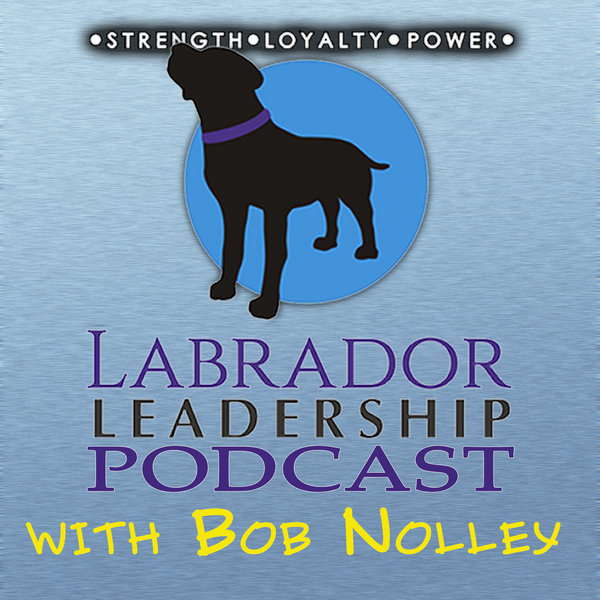 Leading as an Entrepreneur is About Hard Work and Networking| Labrador Leadership Podcast 073