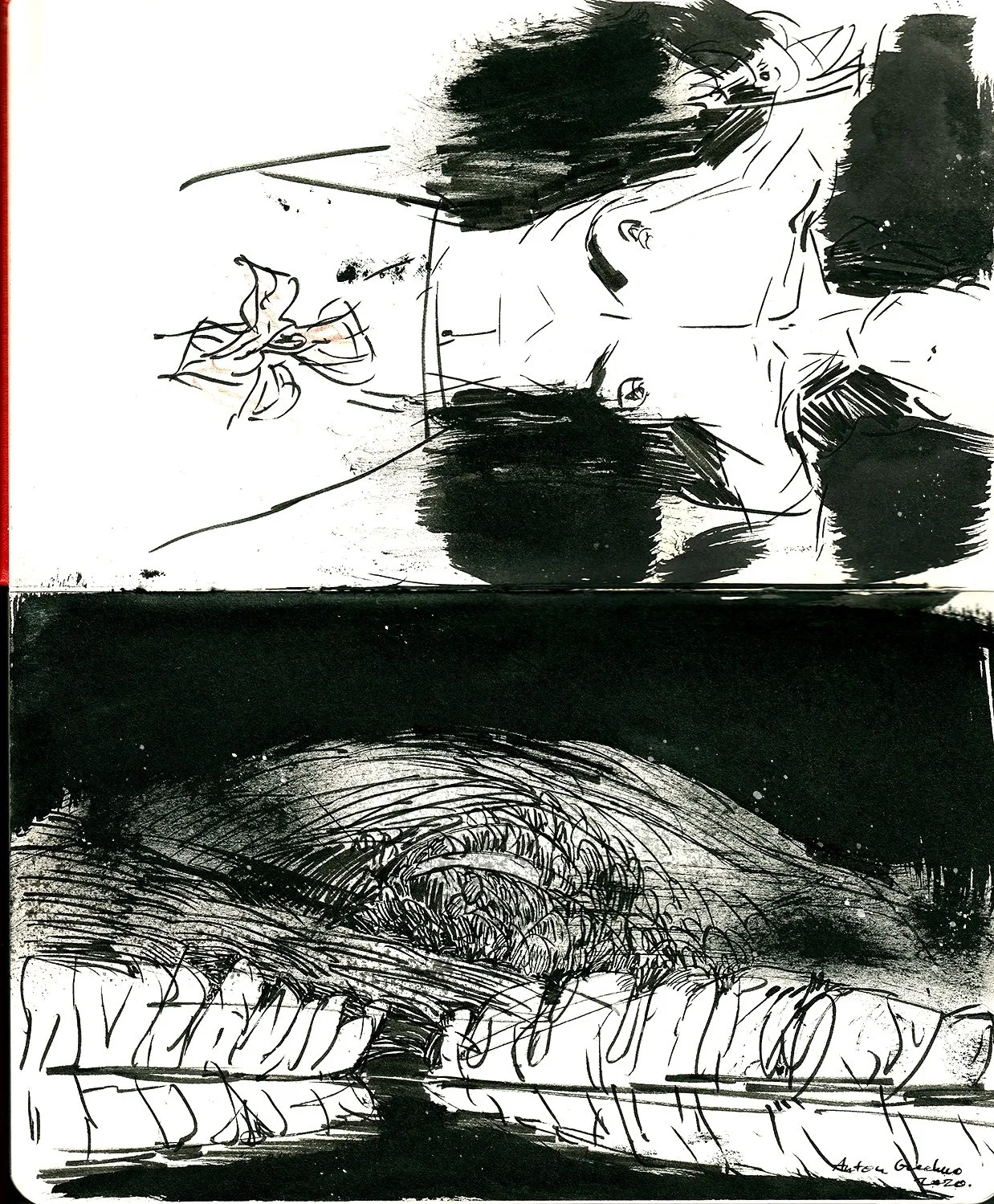 sketchLtlbook1a.jpg
