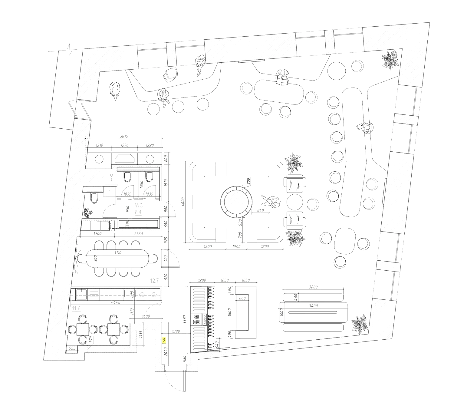 picheskiplans1a.jpg.png