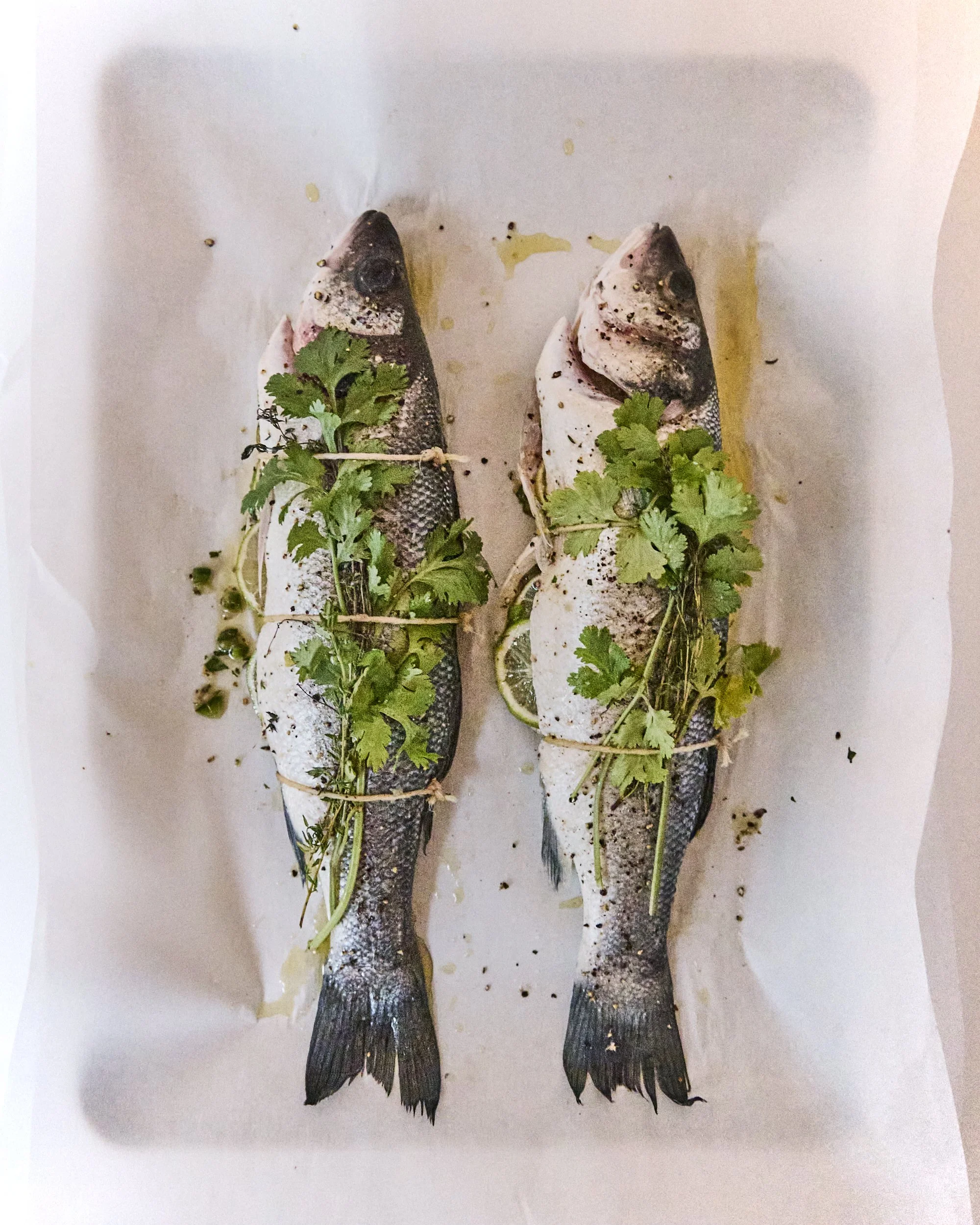 SEVEN_FISHES_XMAS_24_V2_09.jpg