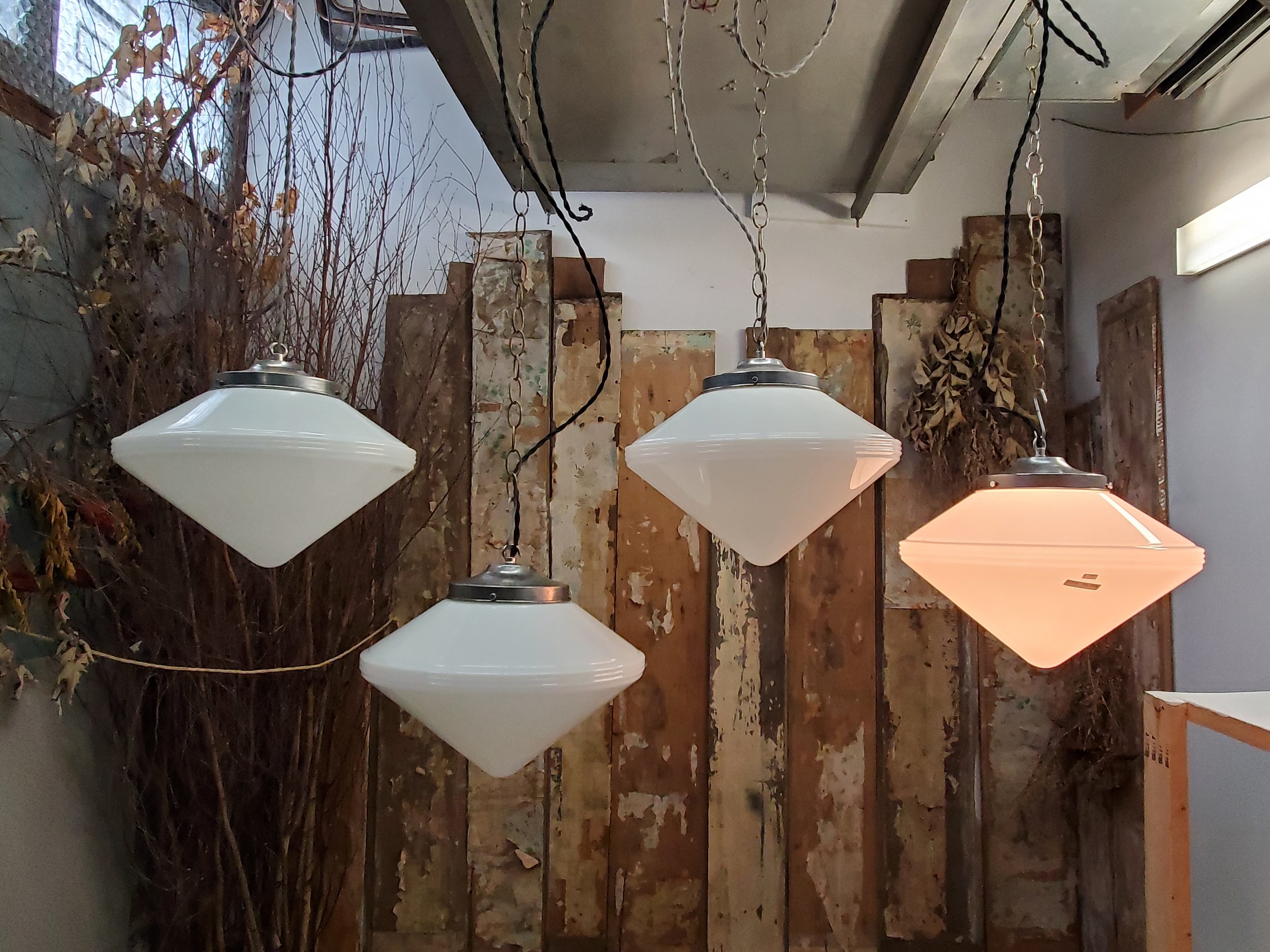 2026-02-20 13.05.28.jpg