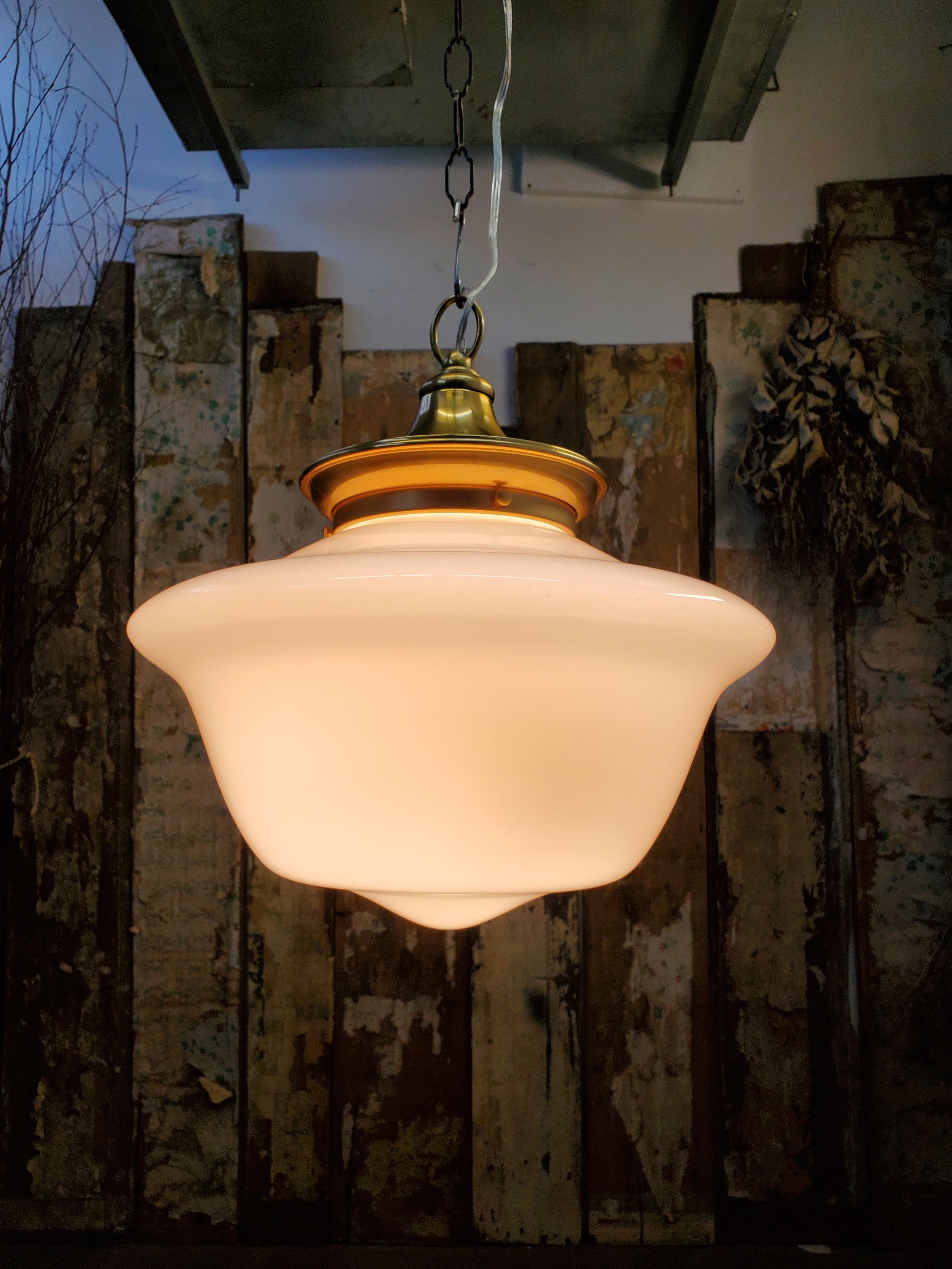 2026-02-19 12.19.49.jpg (copie)