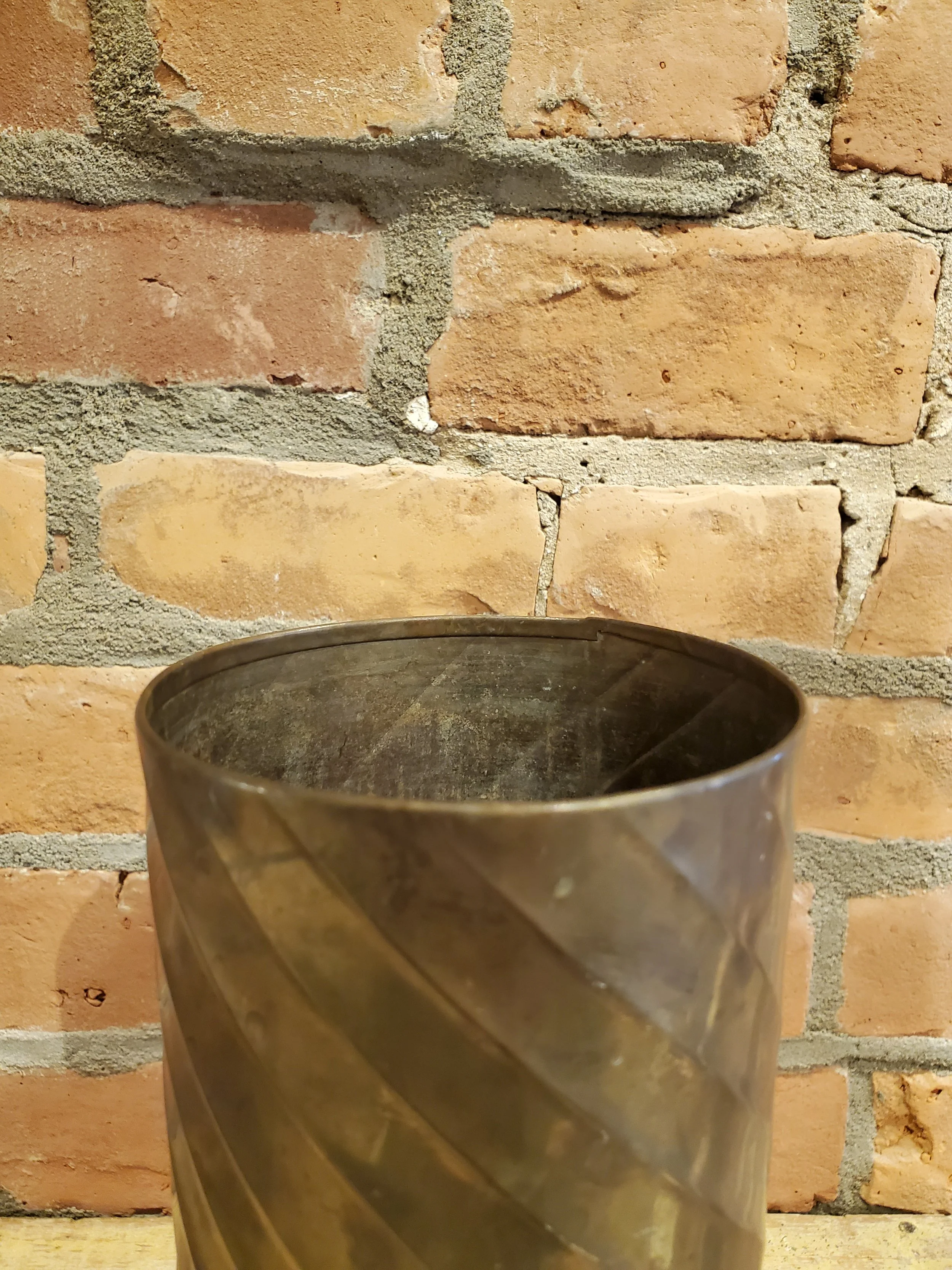 2026-02-11 12.16.56.jpg