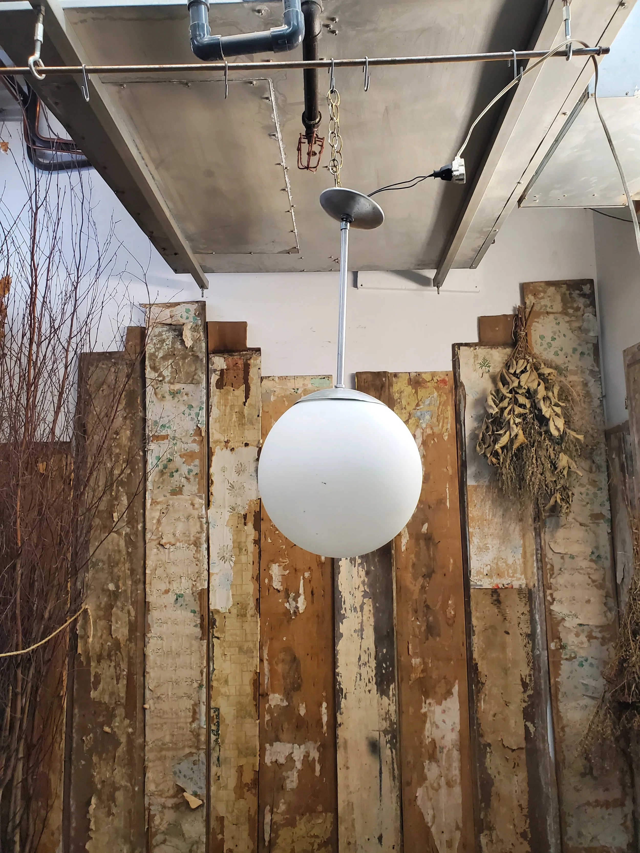 2026-02-17 14.46.50.jpg