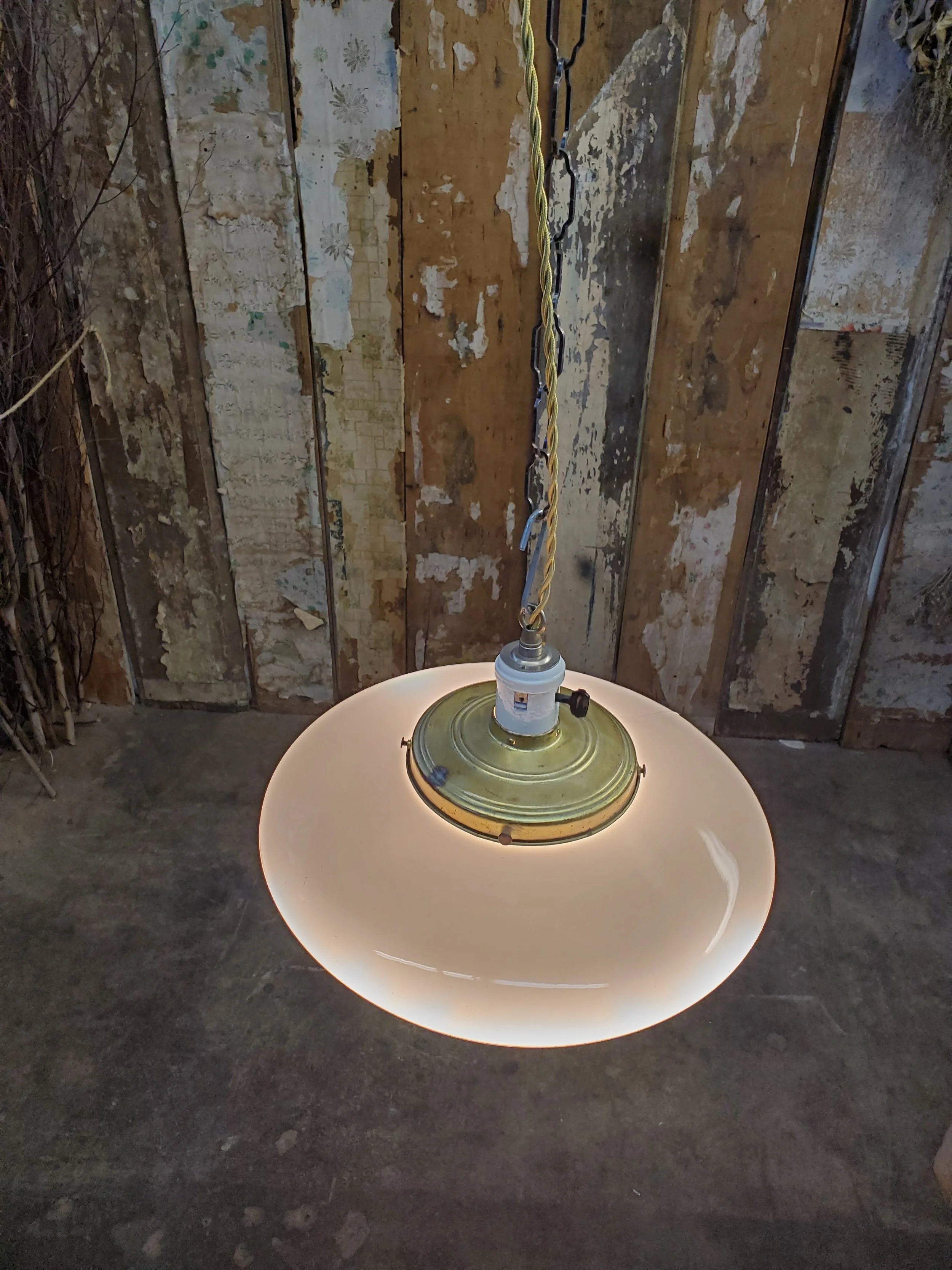 2026-02-19 12.09.41.jpg (copie)