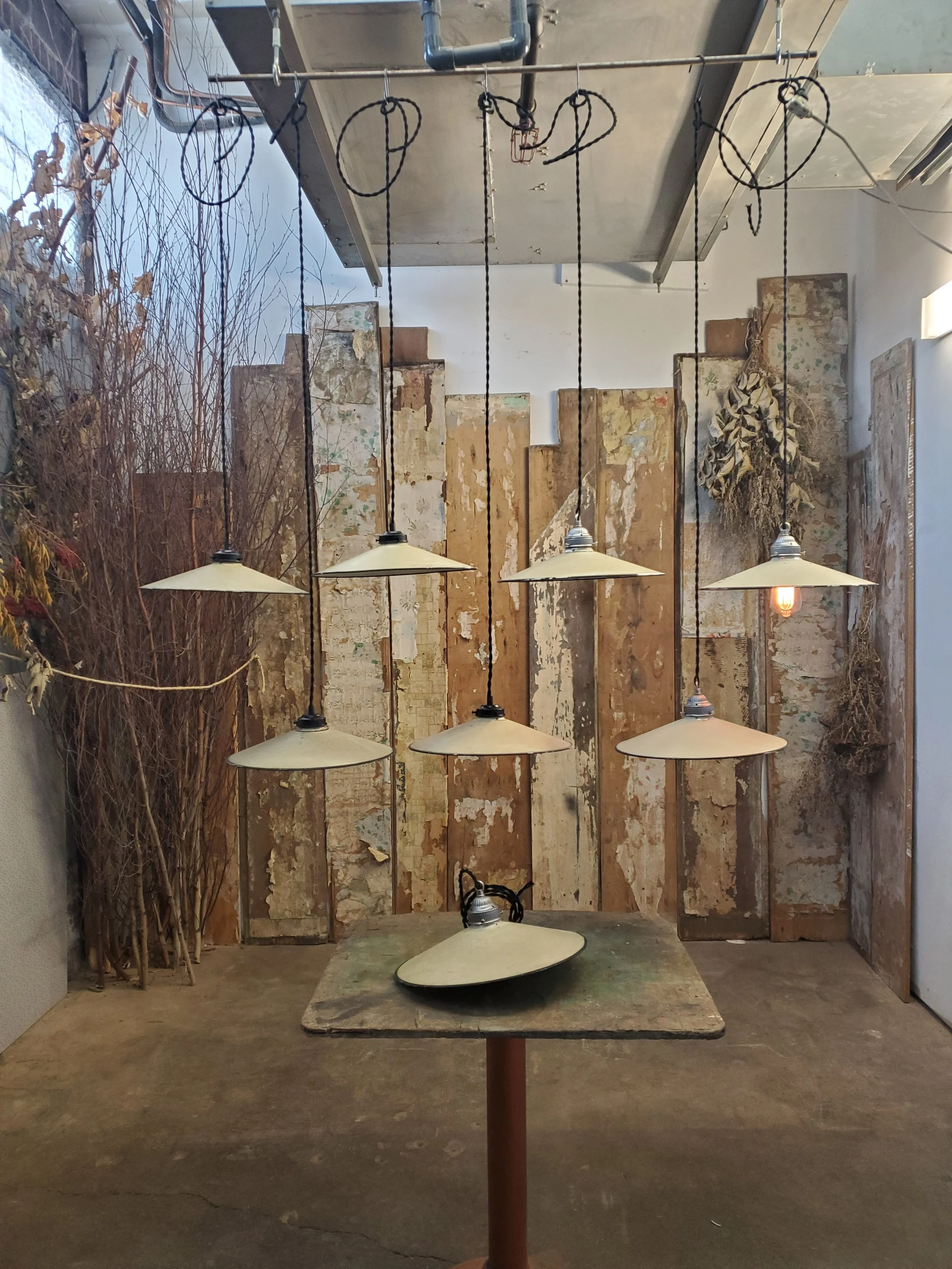 2026-02-21 10.56.23.jpg