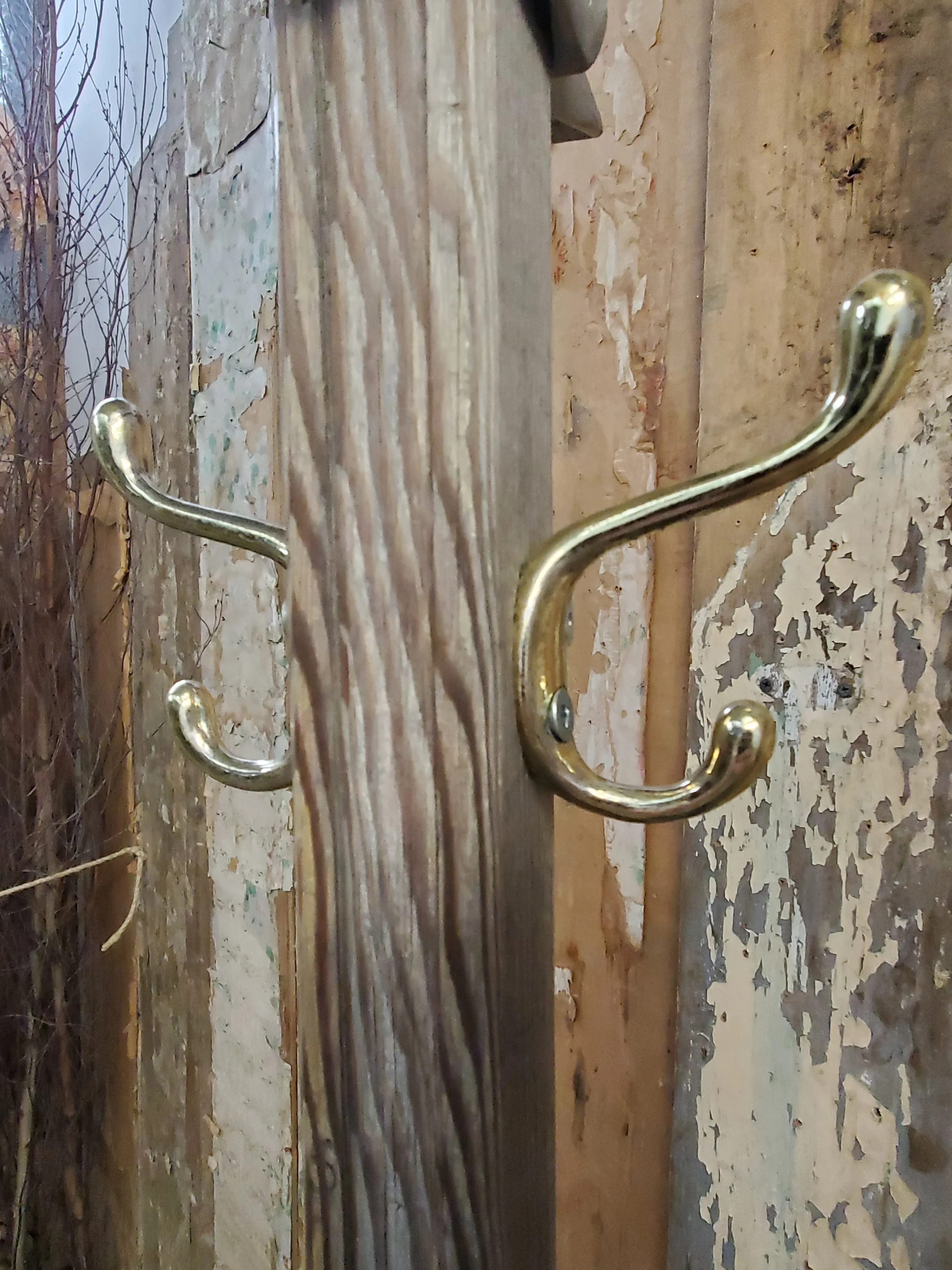 2026-01-25 12.09.33.jpg