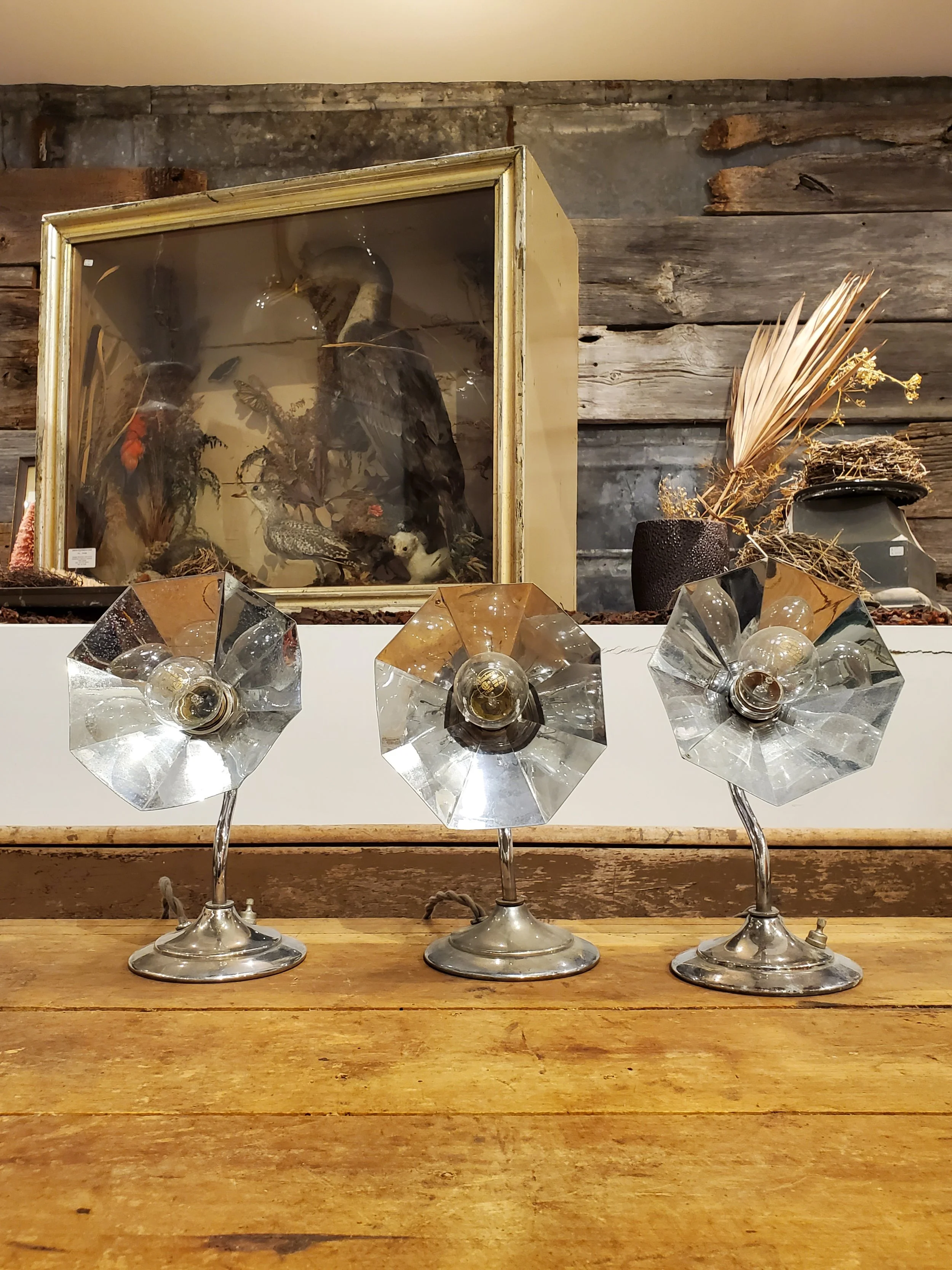 2026-01-24 13.28.31.jpg