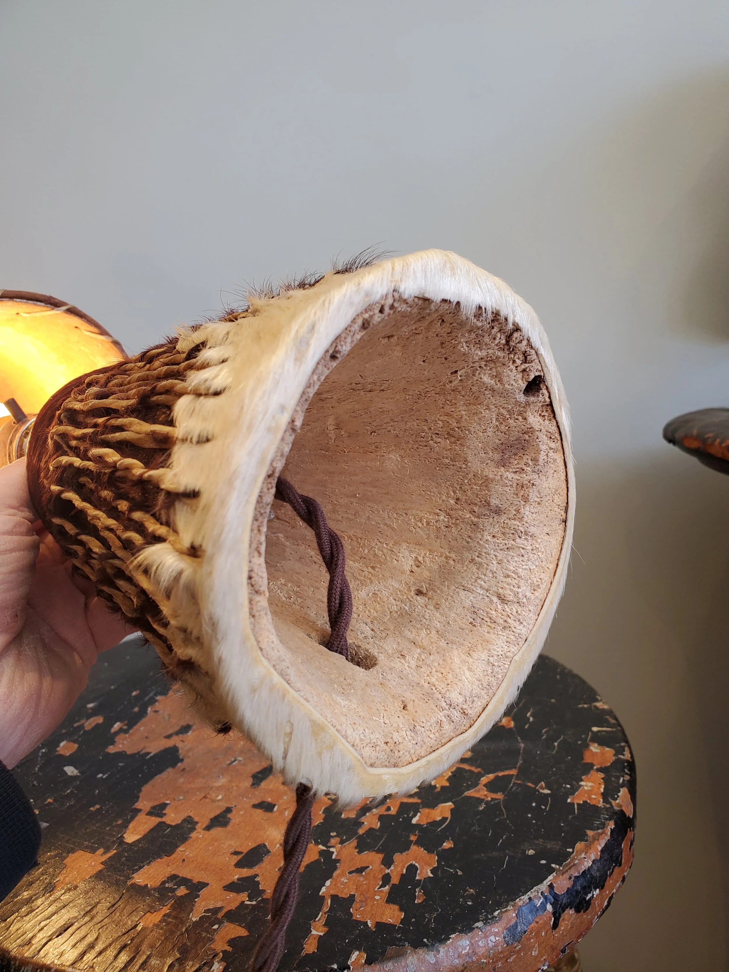 2026-02-15 12.40.02.jpg (copie)