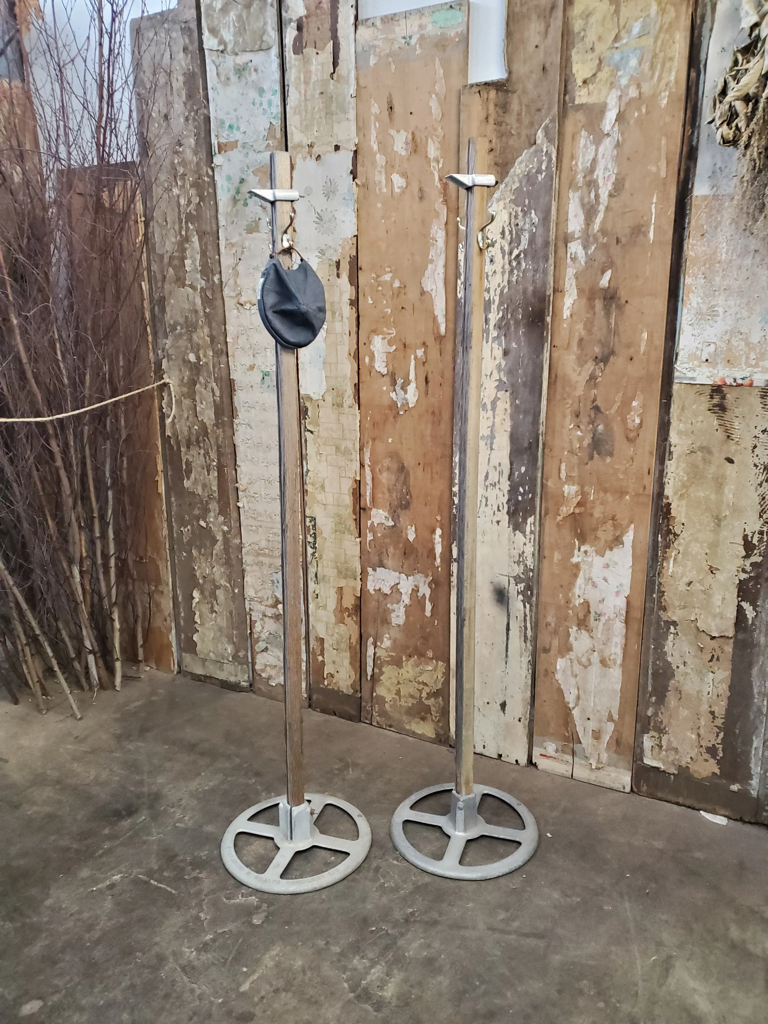 2026-01-25 12.07.56.jpg