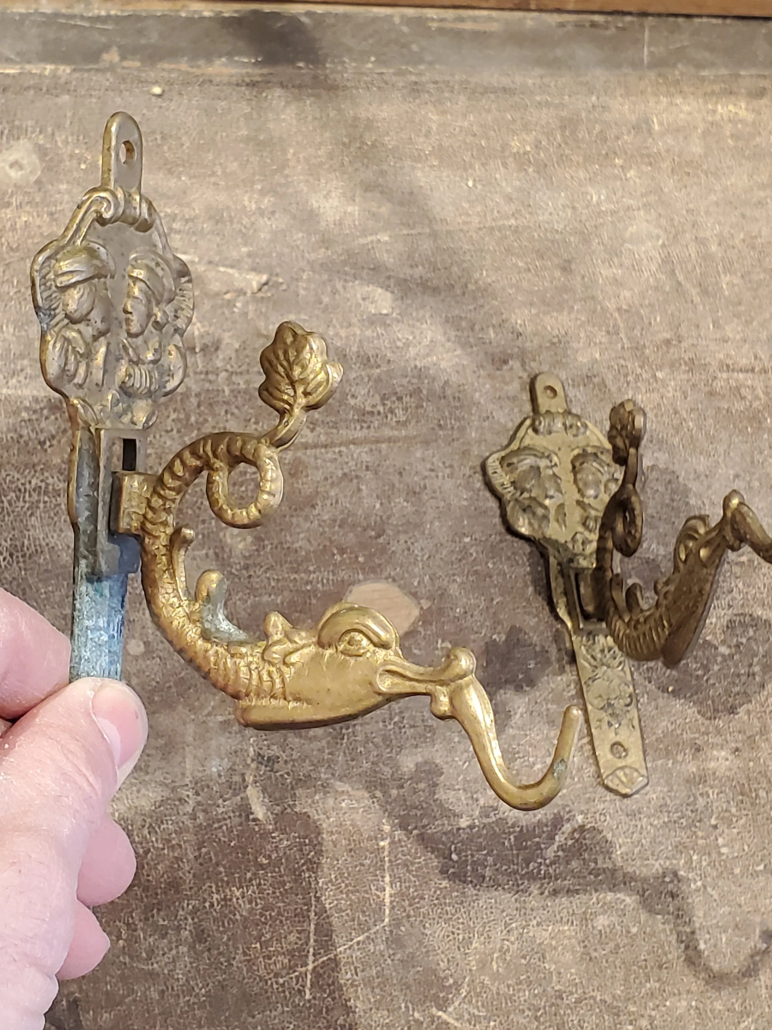 2026-02-13 11.21.41.jpg