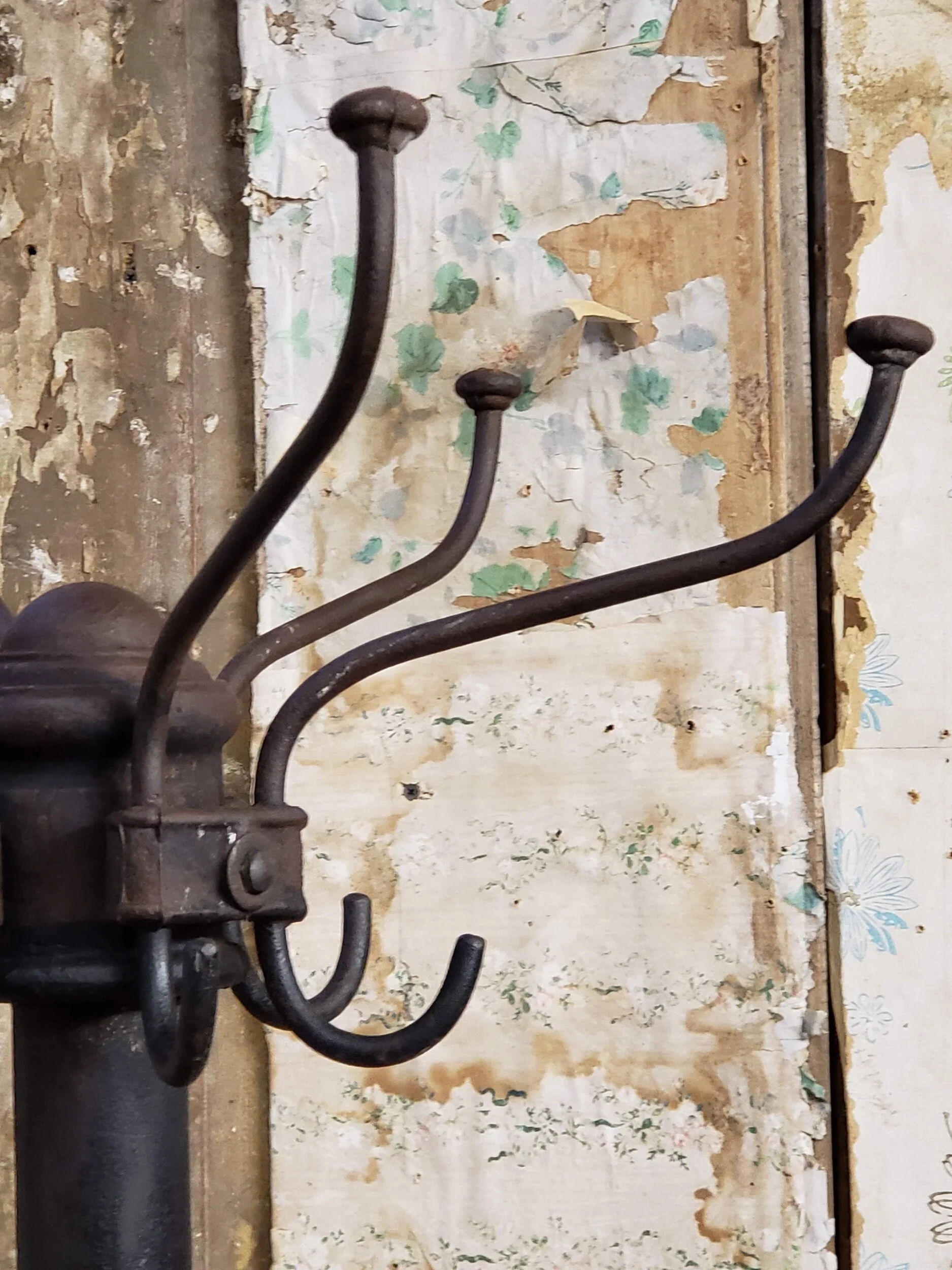 A586E622-E6F1-4172-8DF0-F75A97C2F10B