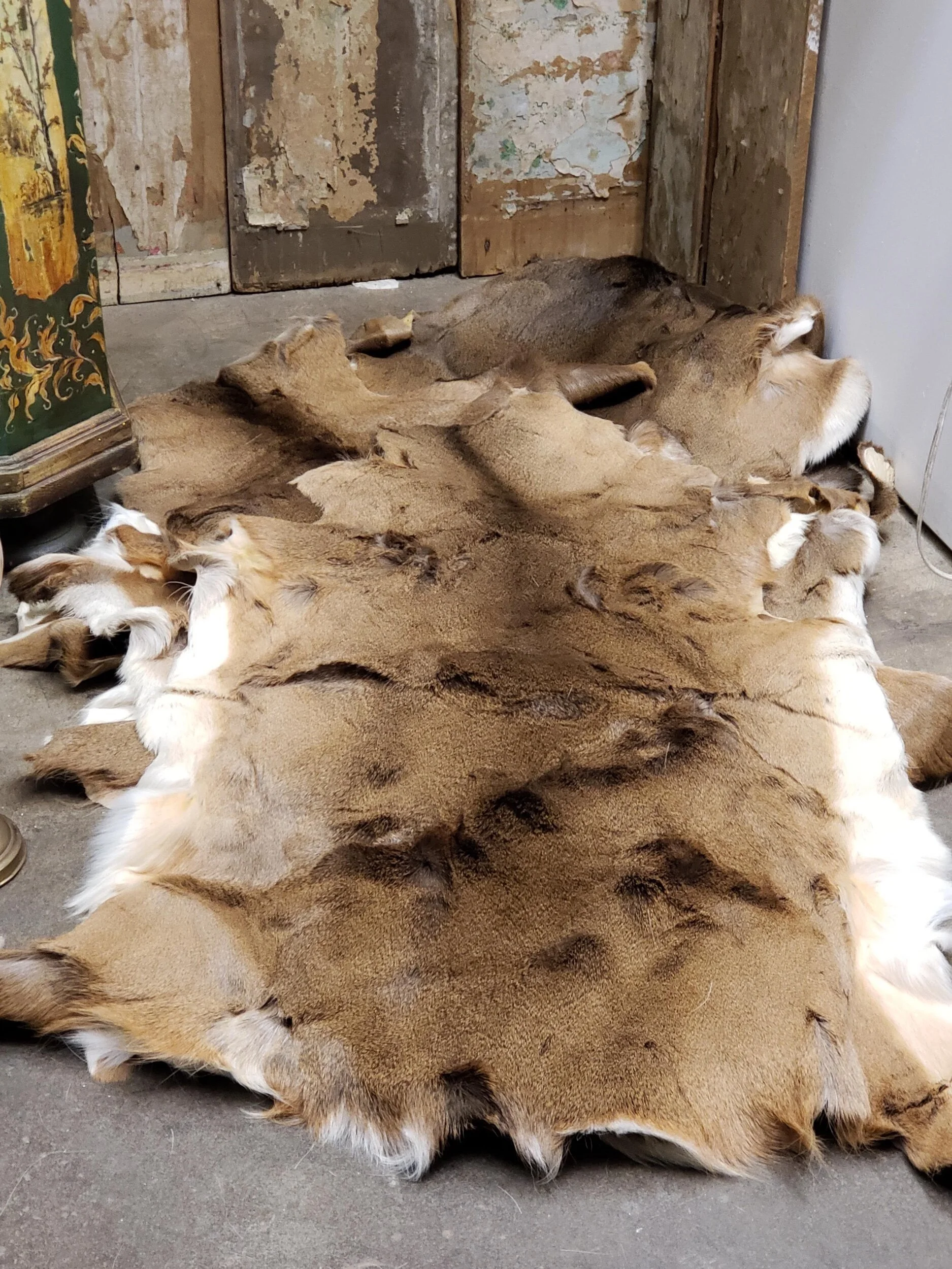 E58B0D5A-1A0F-4355-ACD7-7CCD052457D8