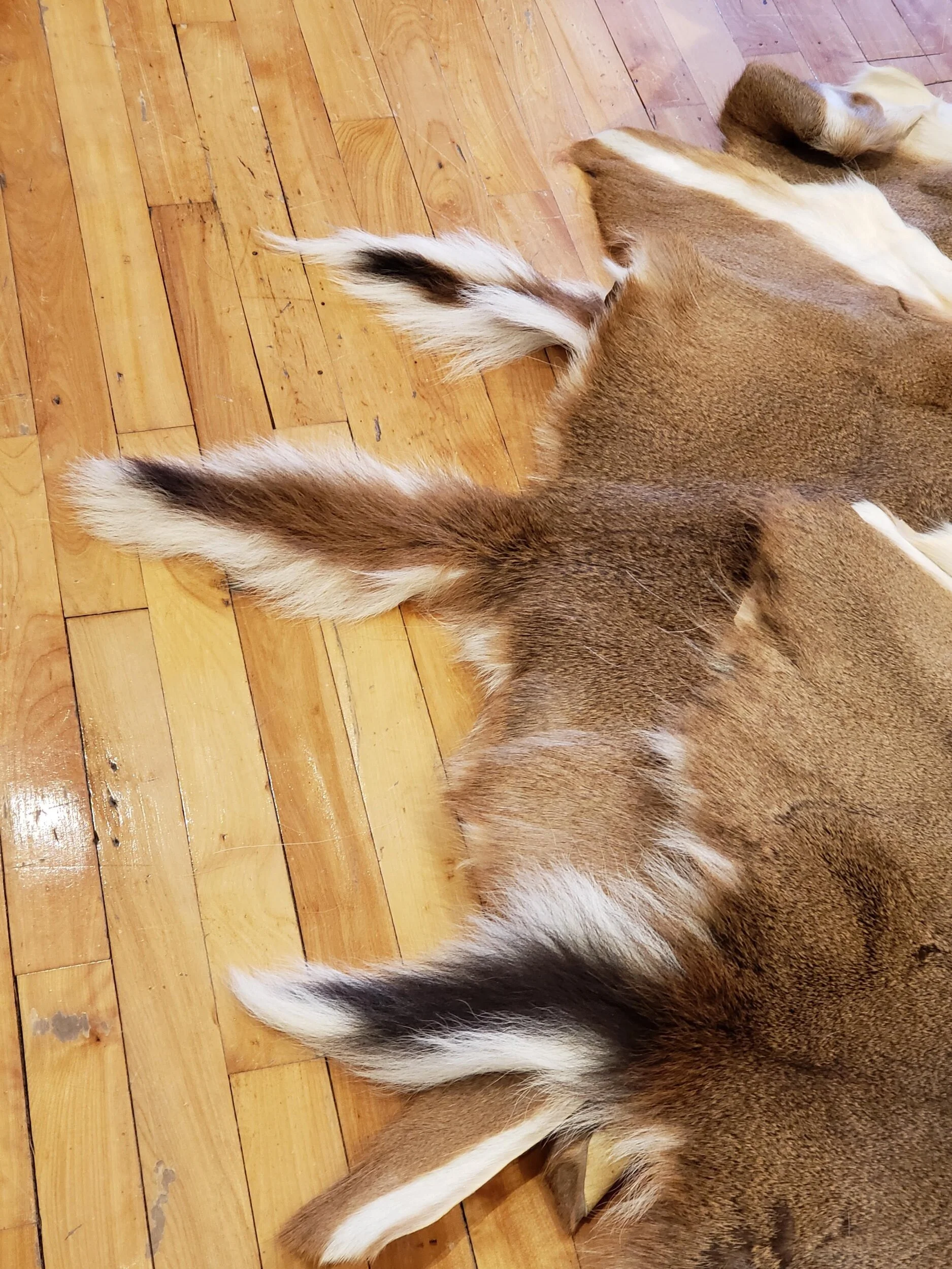 463233BF-2705-4B3F-A6A8-0E594F90C5ED