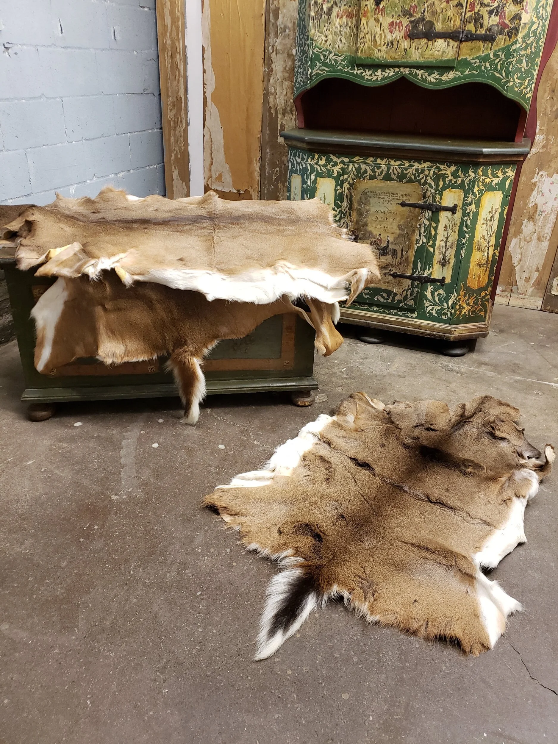 92BB508F-4151-47F9-9FE5-79EF7C807C3C