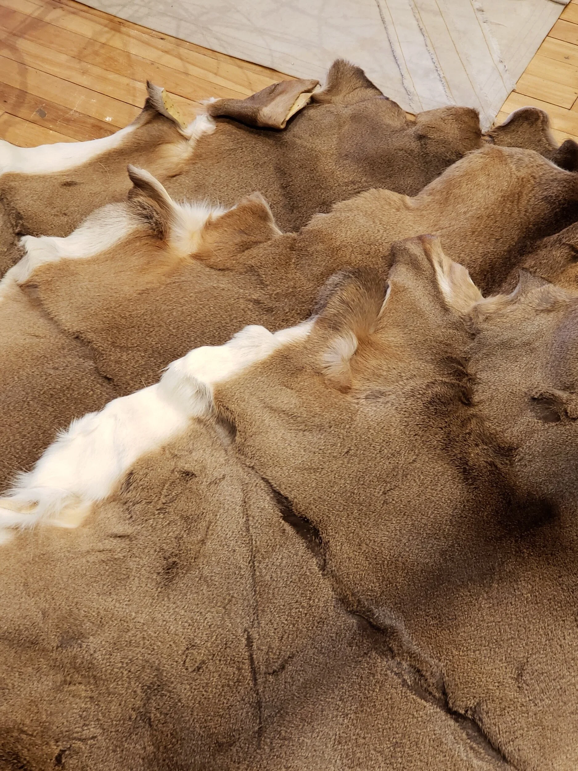 2BBF374B-22CA-408F-93BE-3F6C3E9919FF