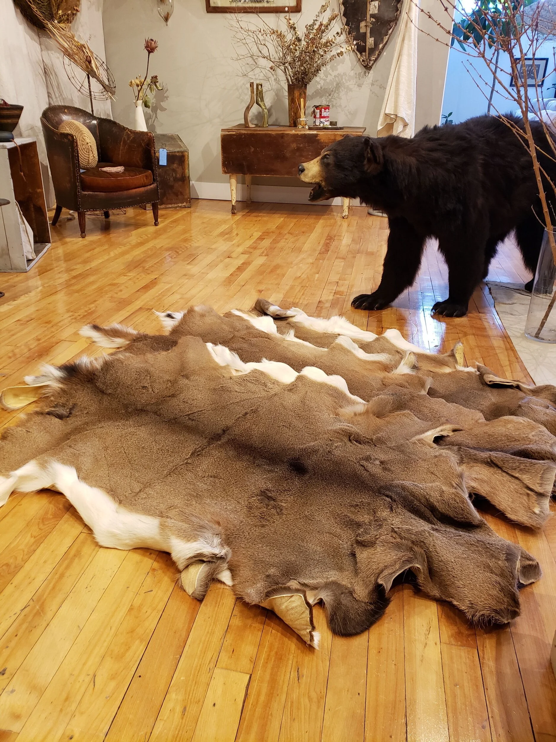 48257833-9647-4EA3-8052-D6EAFCE89BDD