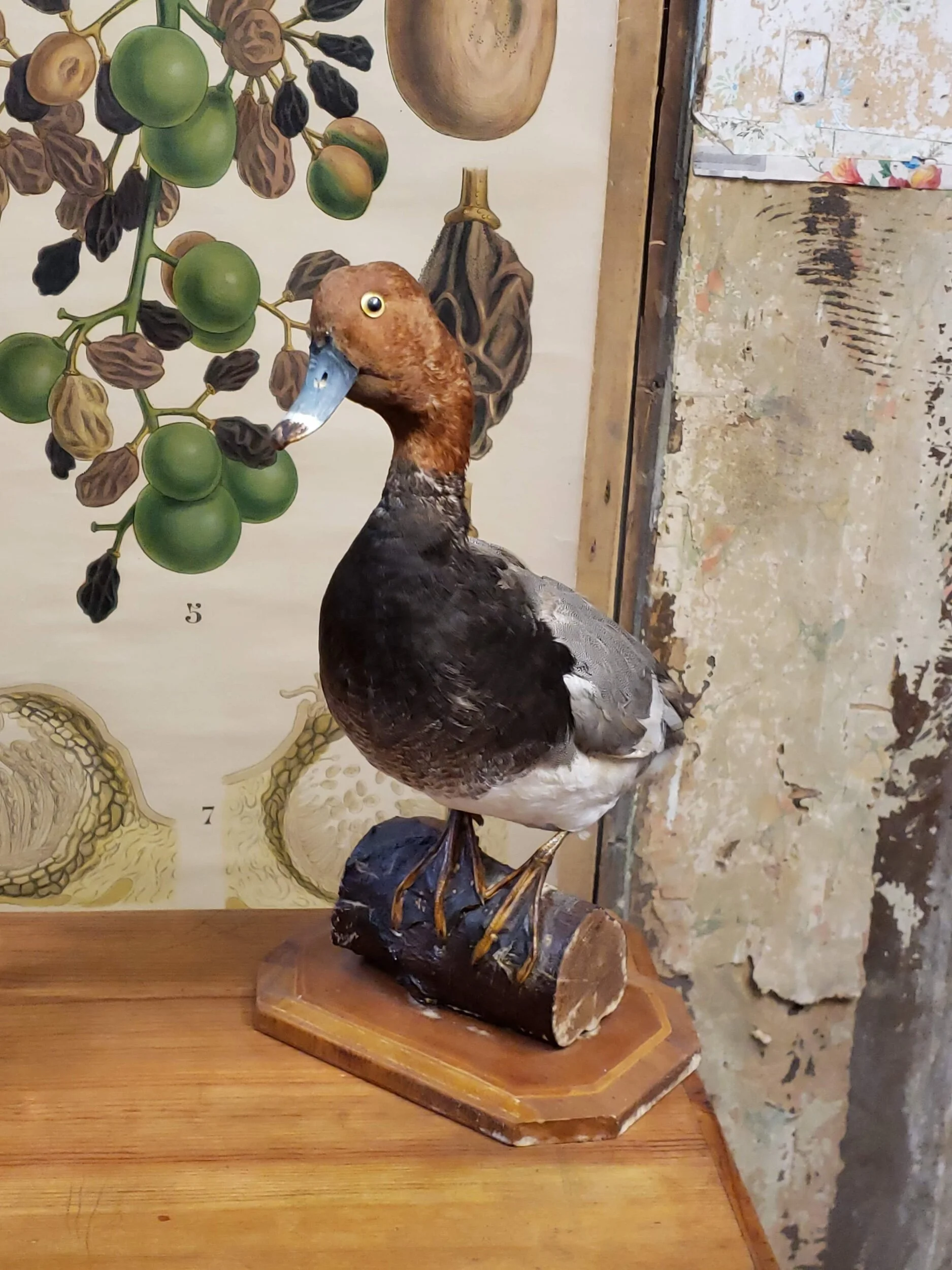 4B8B6AE2-603F-4CD2-B7CD-51C29ECA617E