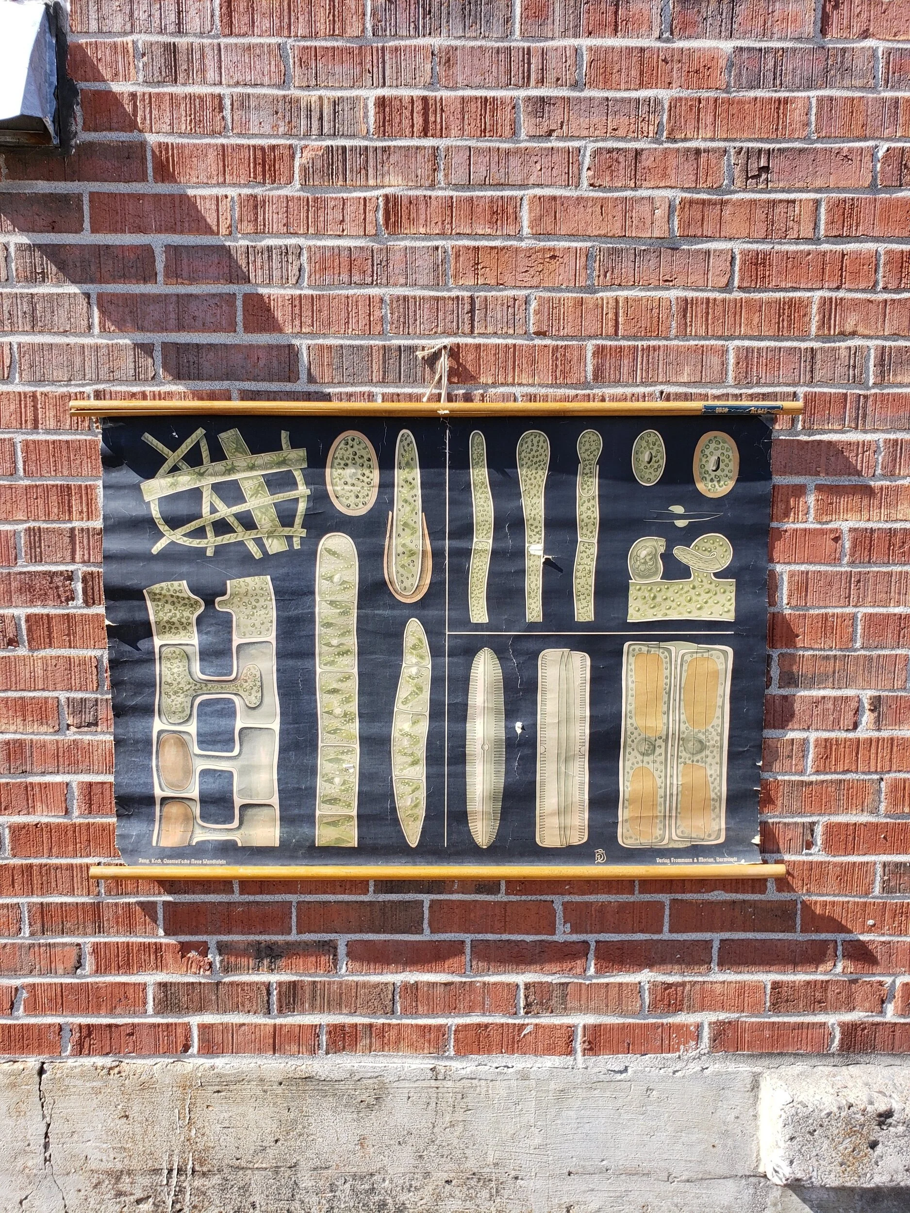 66BBE978-92E3-4D91-AD23-4C34D4FF5A5E