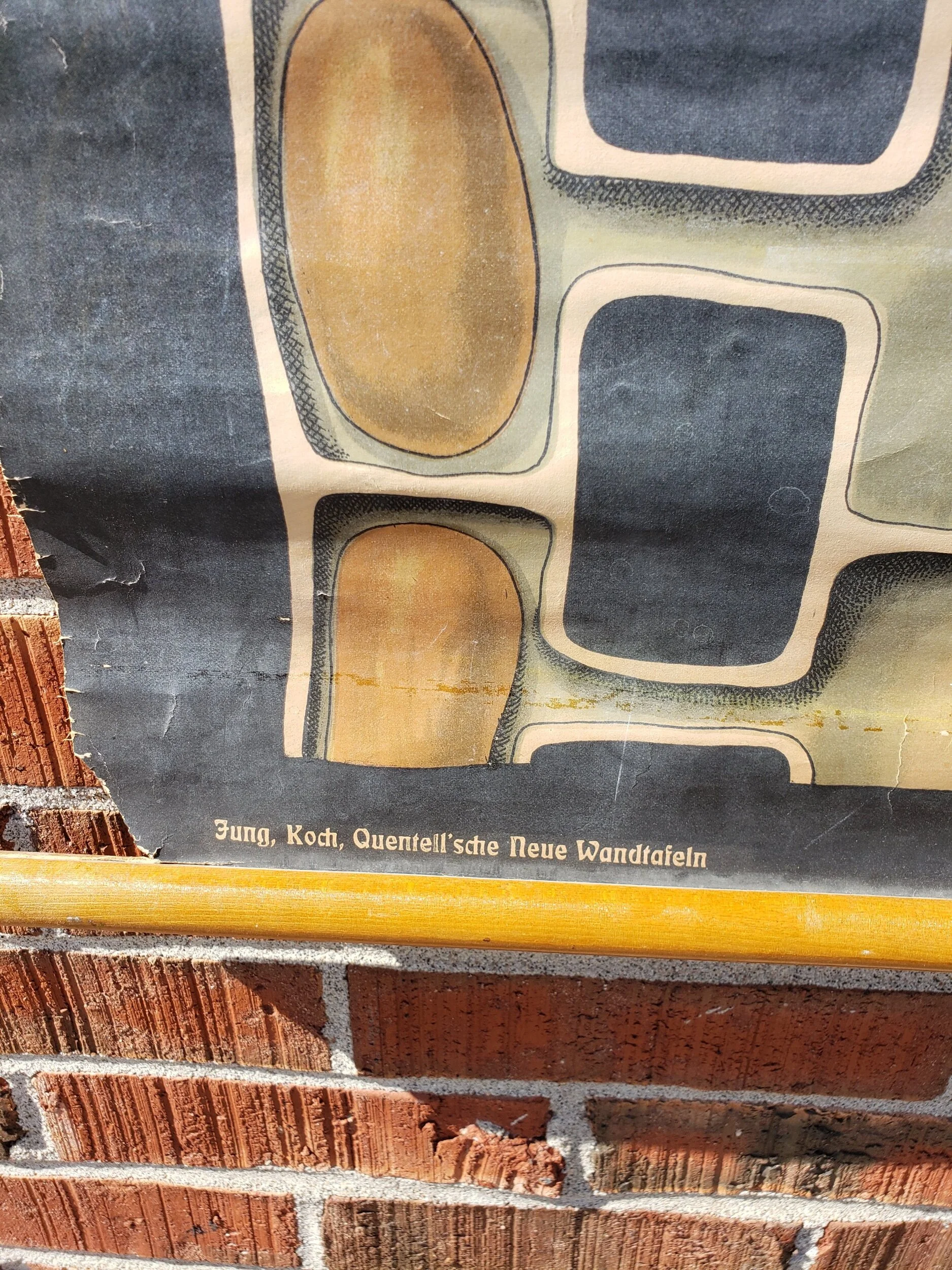 4BCB05D1-816D-49F5-8F39-FE16C222BC3A