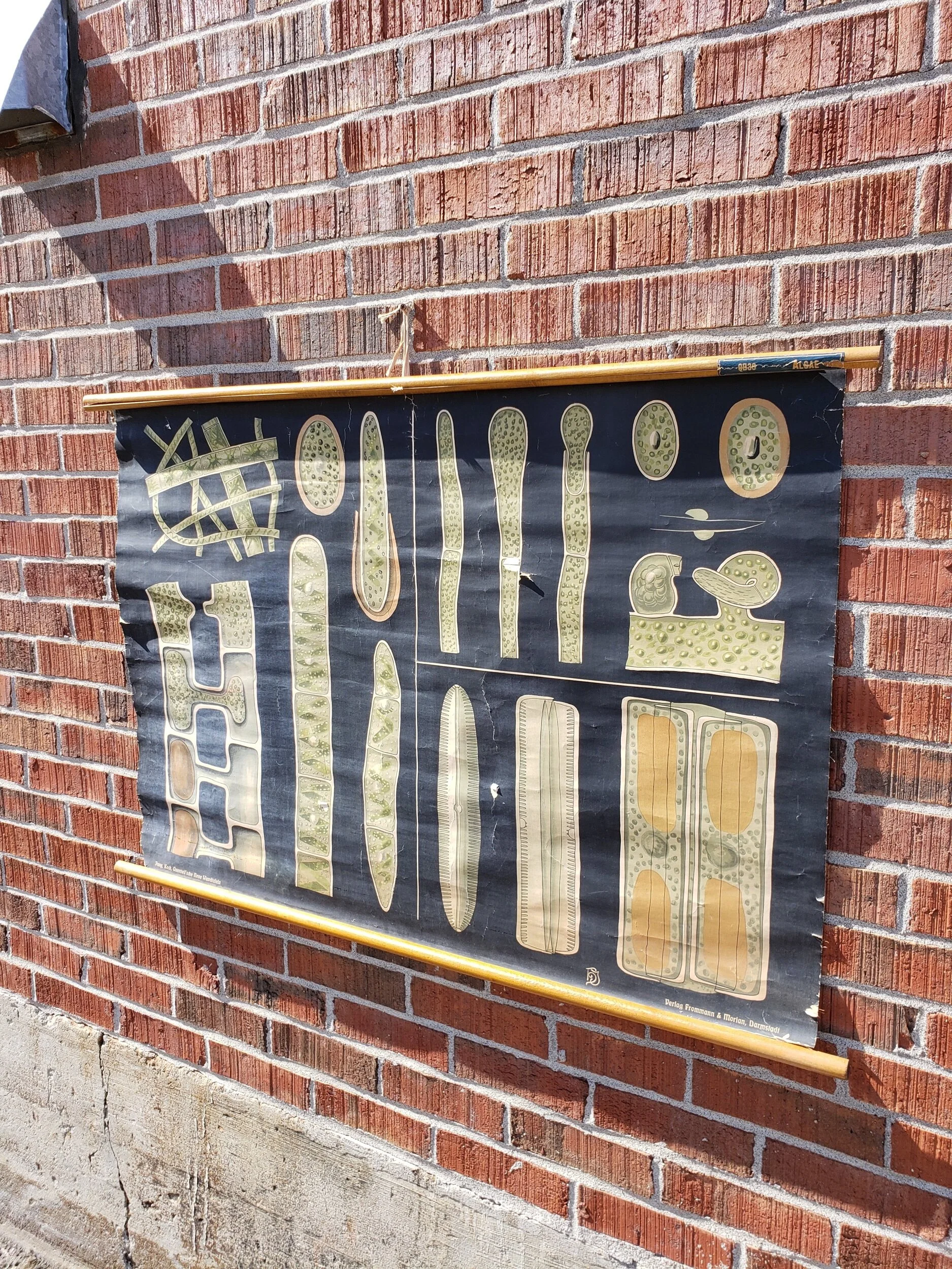 262BDFB2-232C-4D0F-BCDA-FF4BFDE2F75F