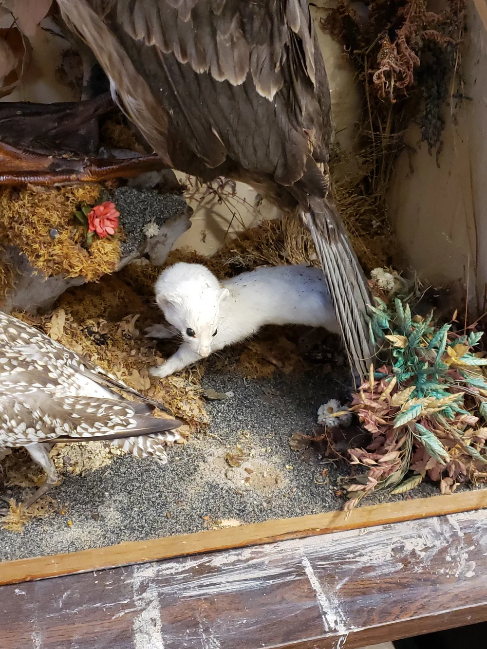 Cadre Décoratif En Bois Laqué – Motif Oiseaux Et Fleurs – À Suspendre – Vintage – Occasion