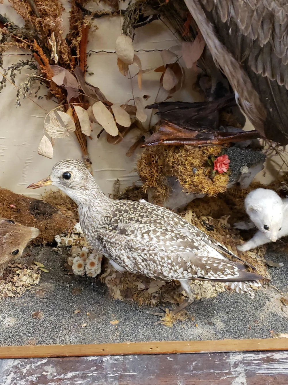 Cadre Décoratif En Bois Laqué Suspendu - Motif Oiseaux & Fleurs - Occasion Bon état