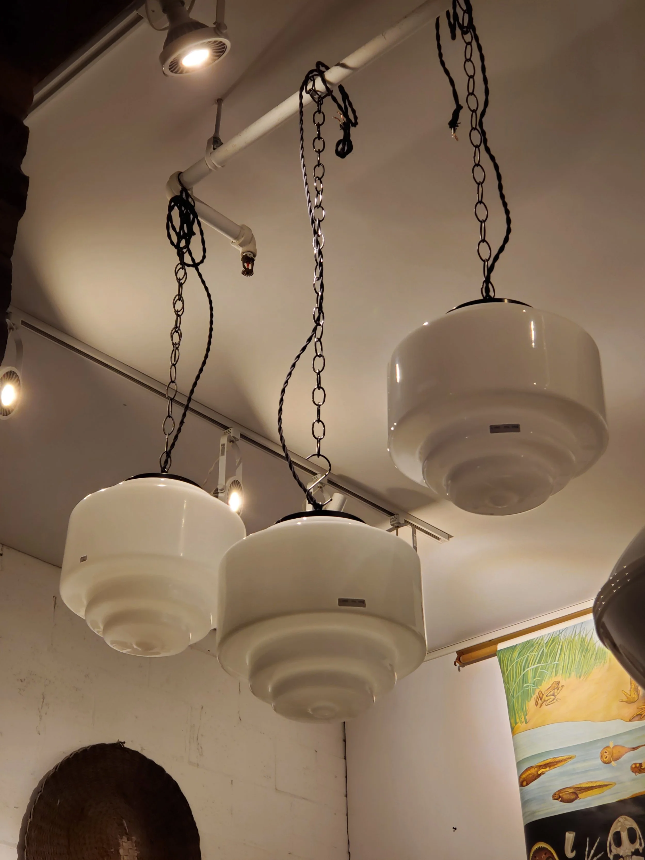 2026-02-15 10.56.56.jpg