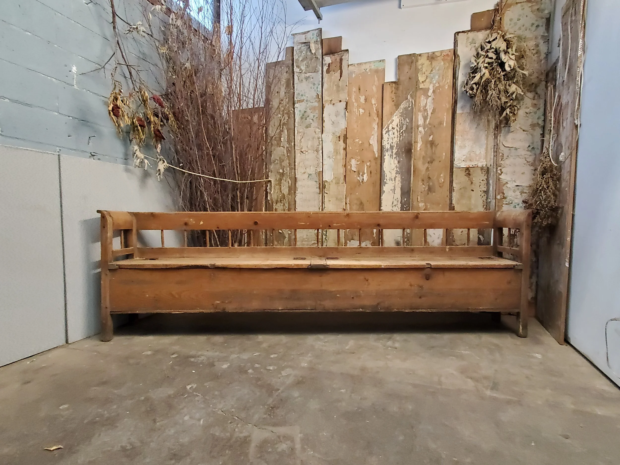 2026-02-09 15.56.55.jpg