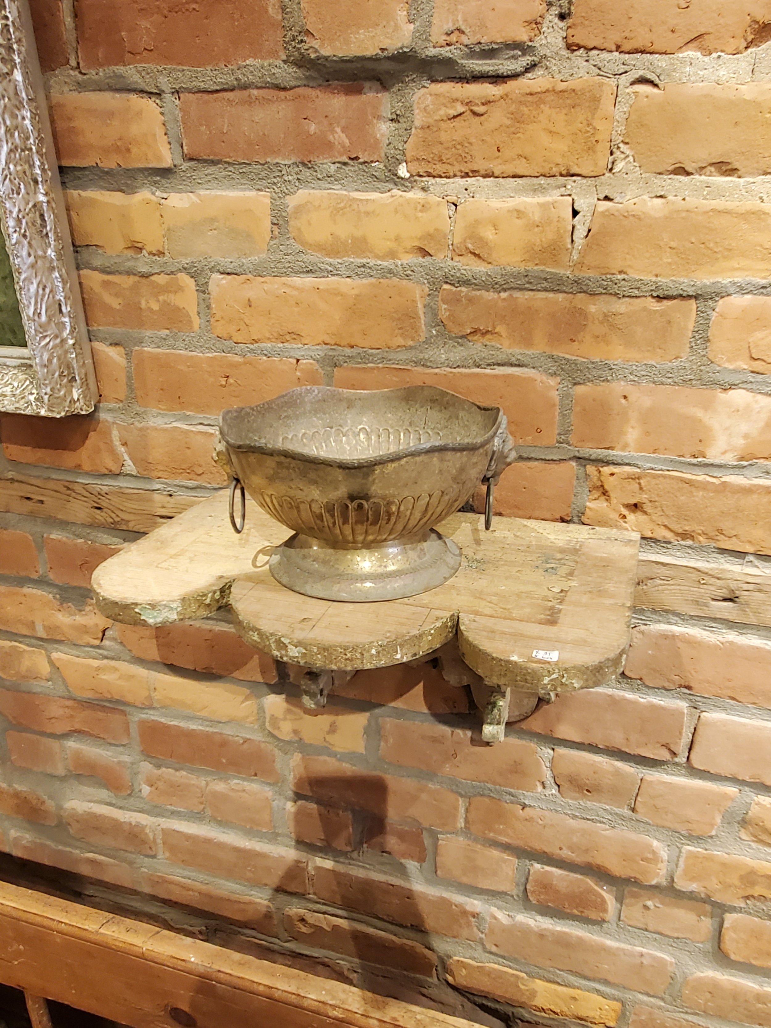 2026-02-11 12.31.54.jpg