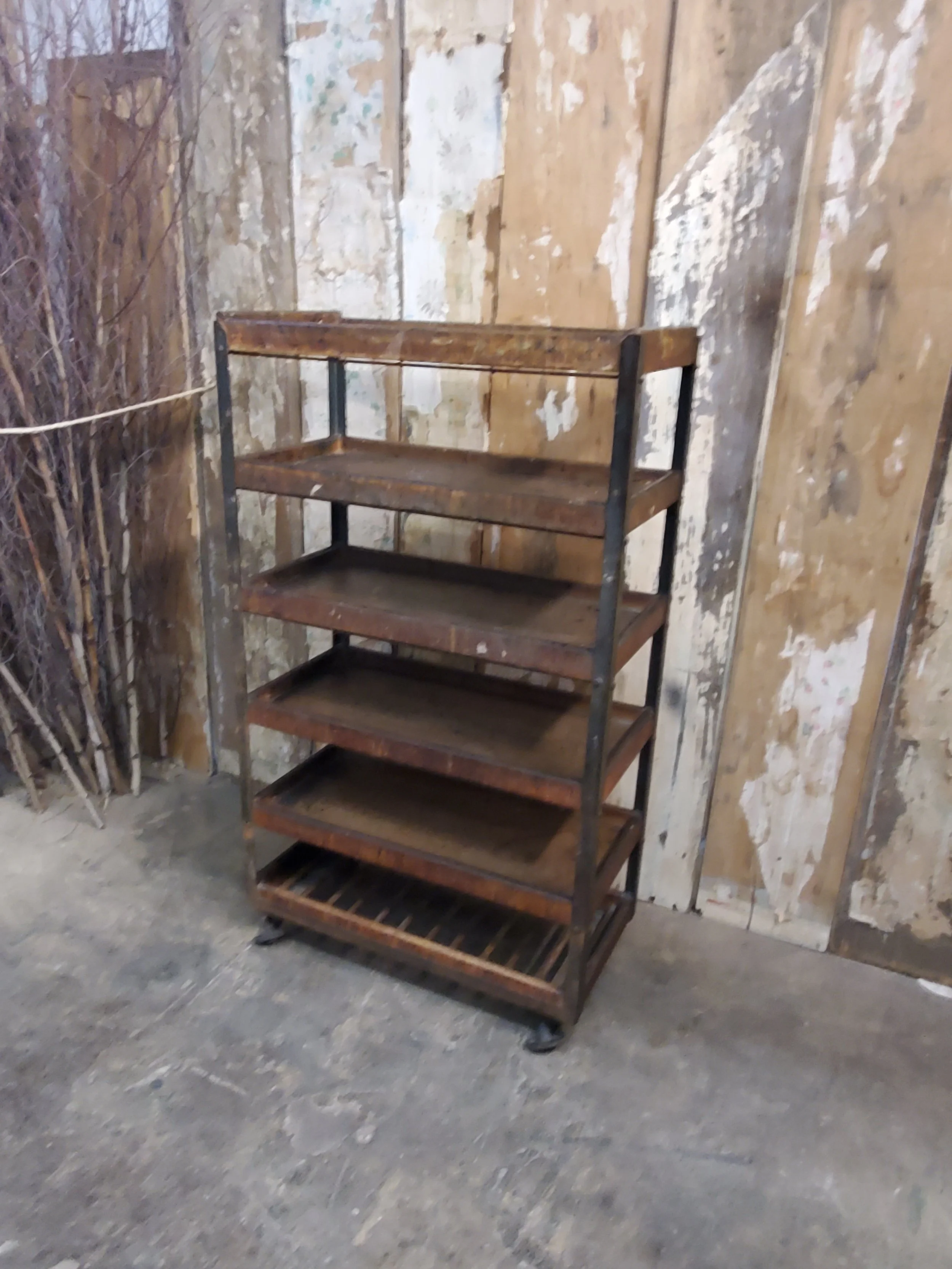 2026-03-21 18.41.08.jpg