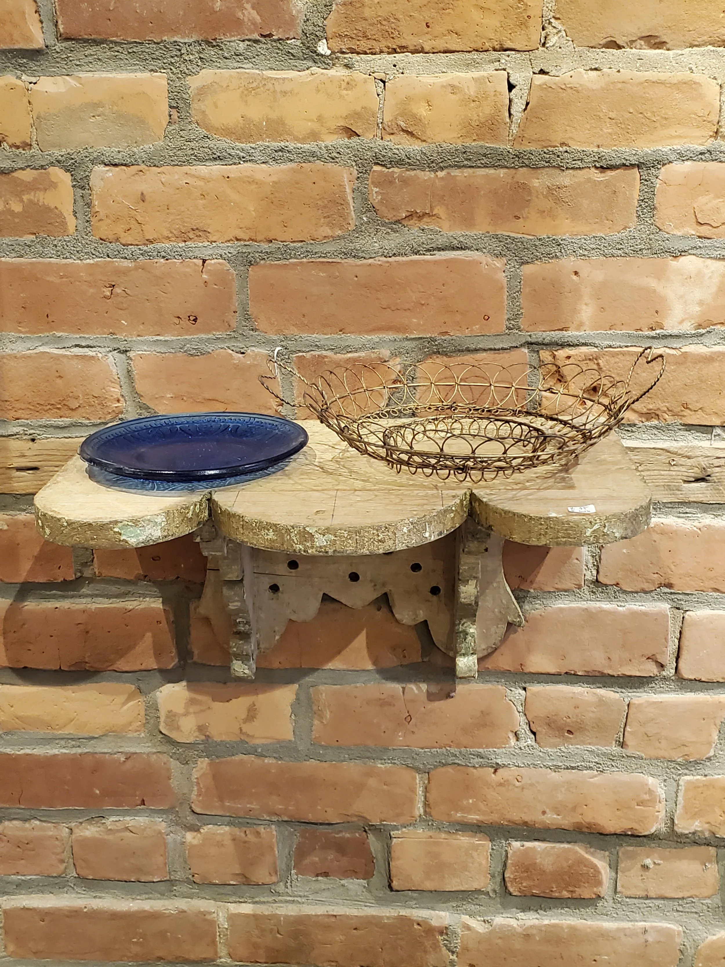 2026-02-11 11.45.14.jpg