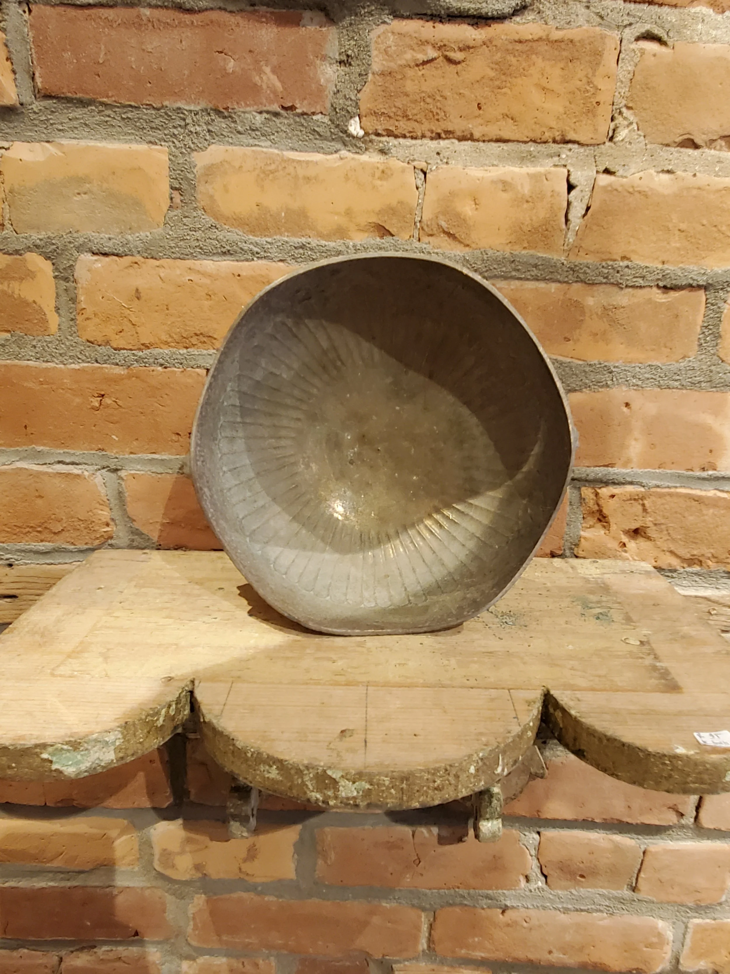 2026-02-11 12.32.15.jpg