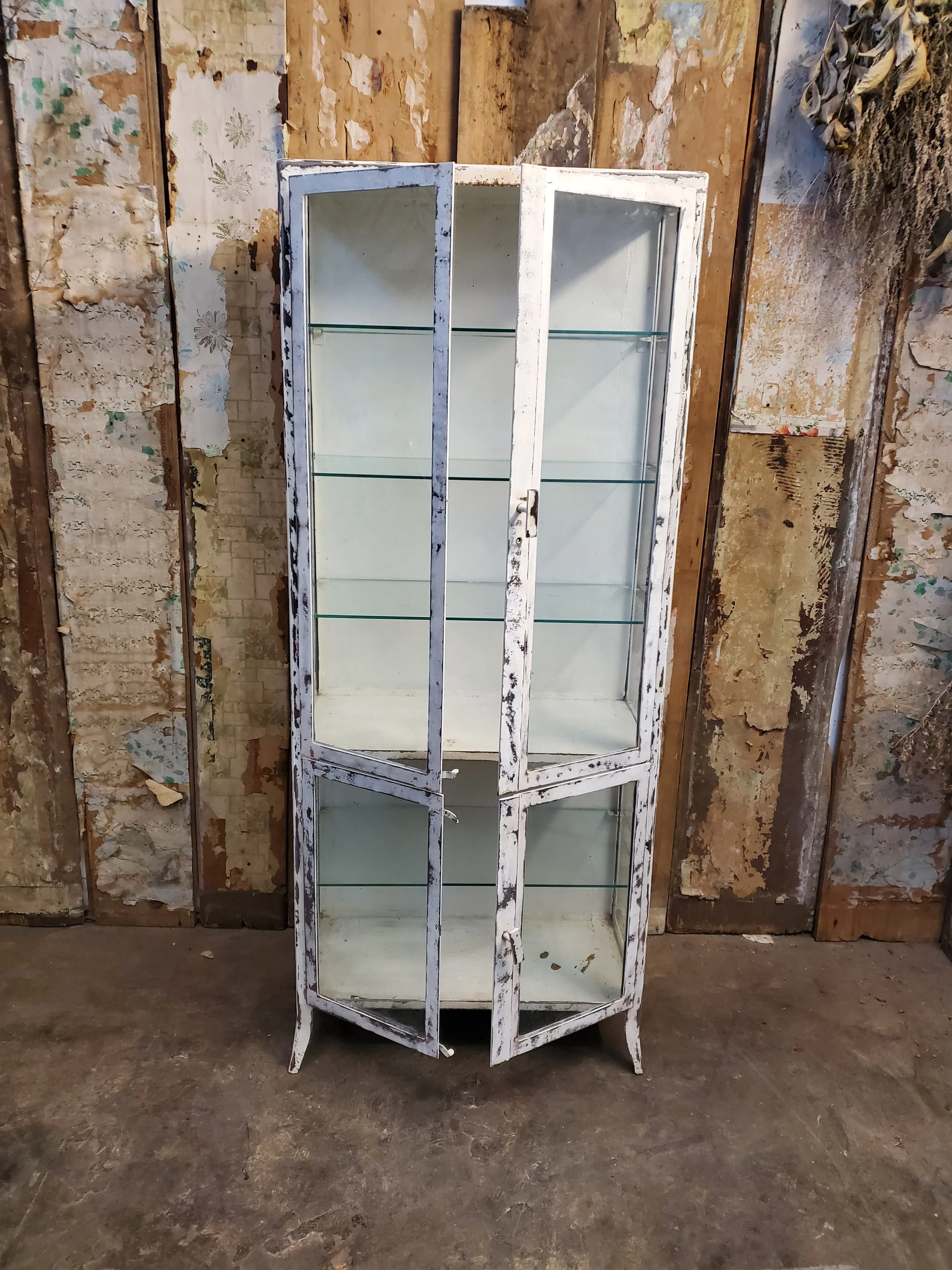 2026-02-09 10.15.54.jpg