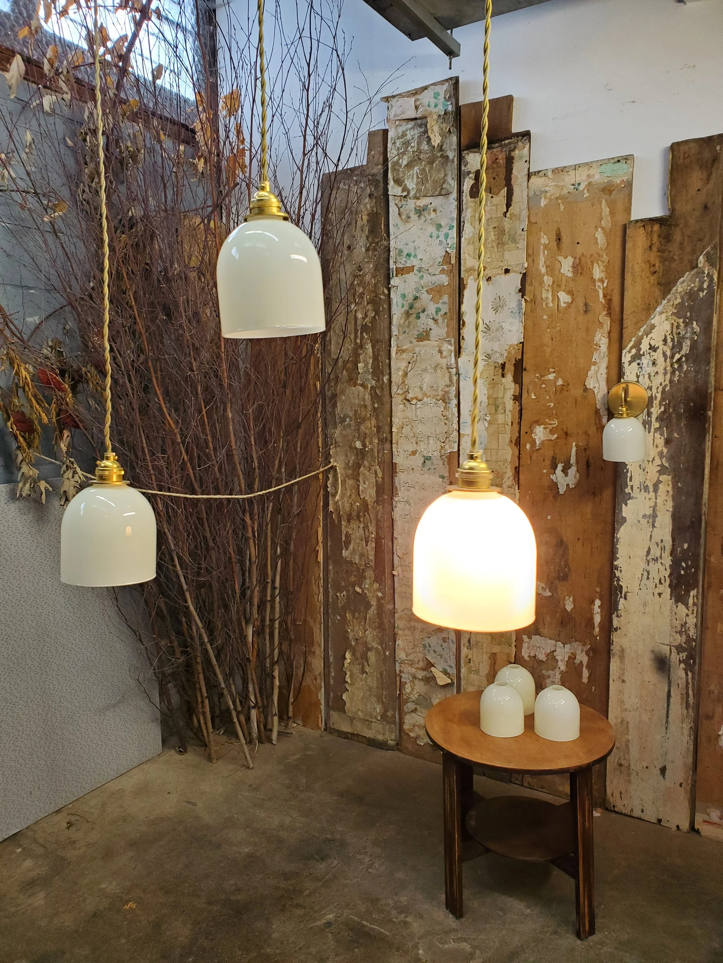 2026-03-08 12.03.46.jpg